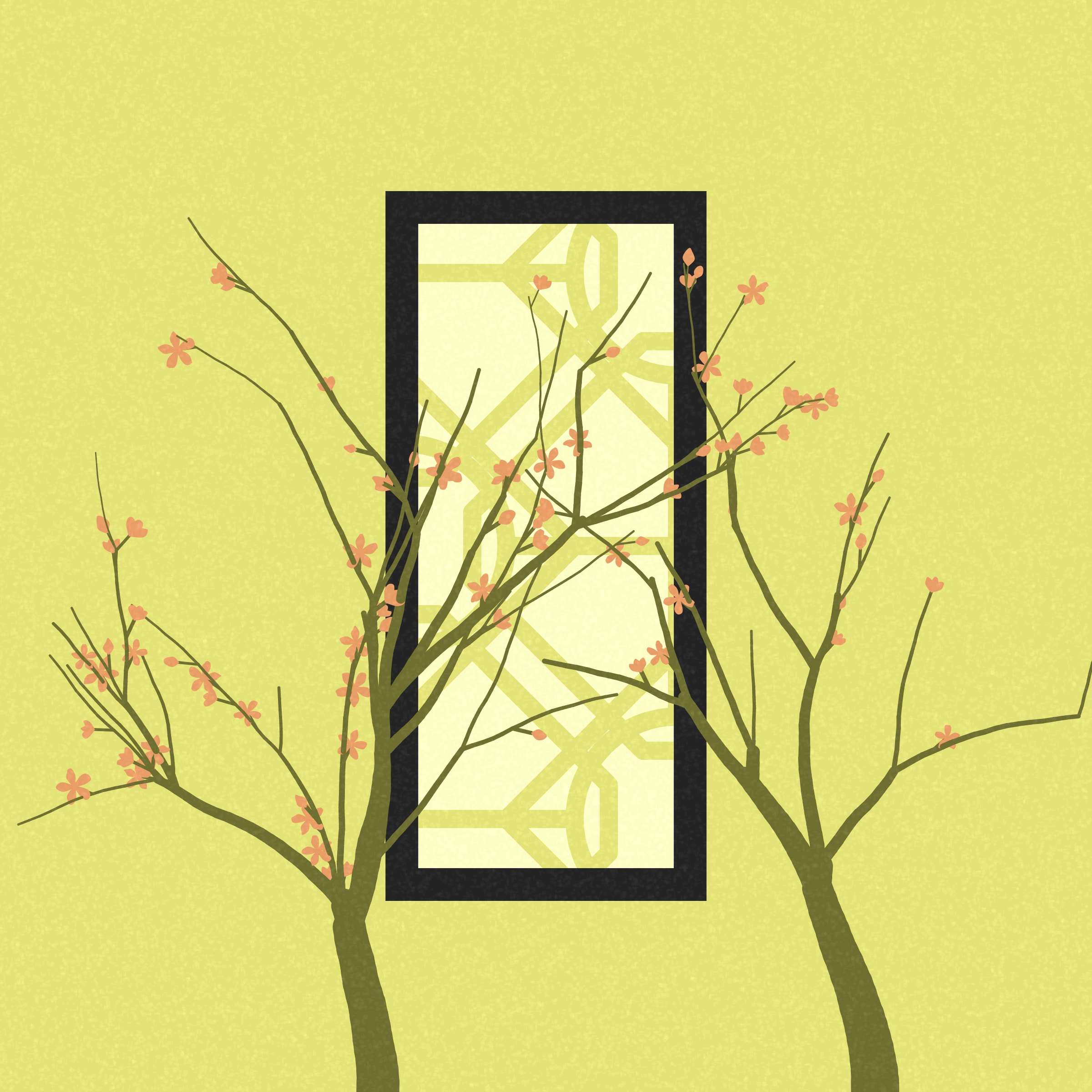 Through the Window