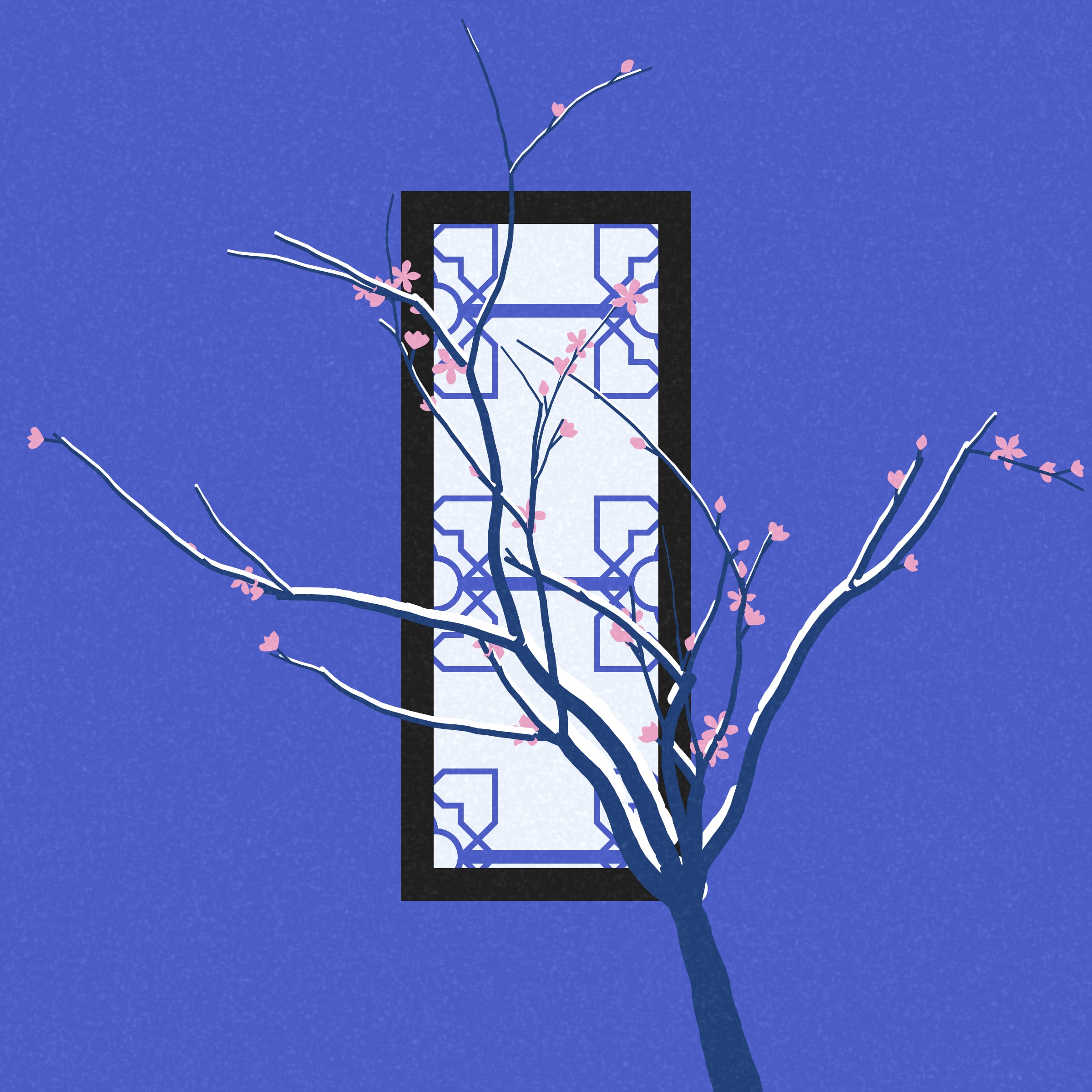 Through the Window