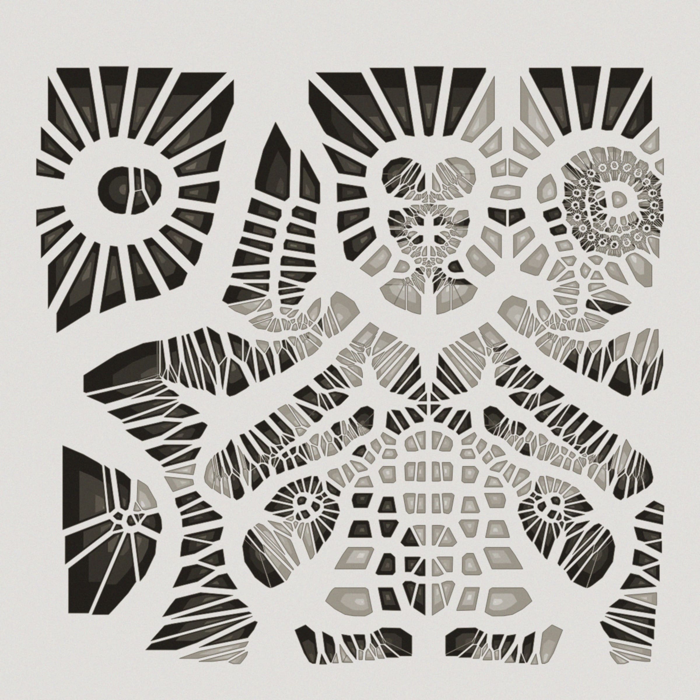 Autology #209000558