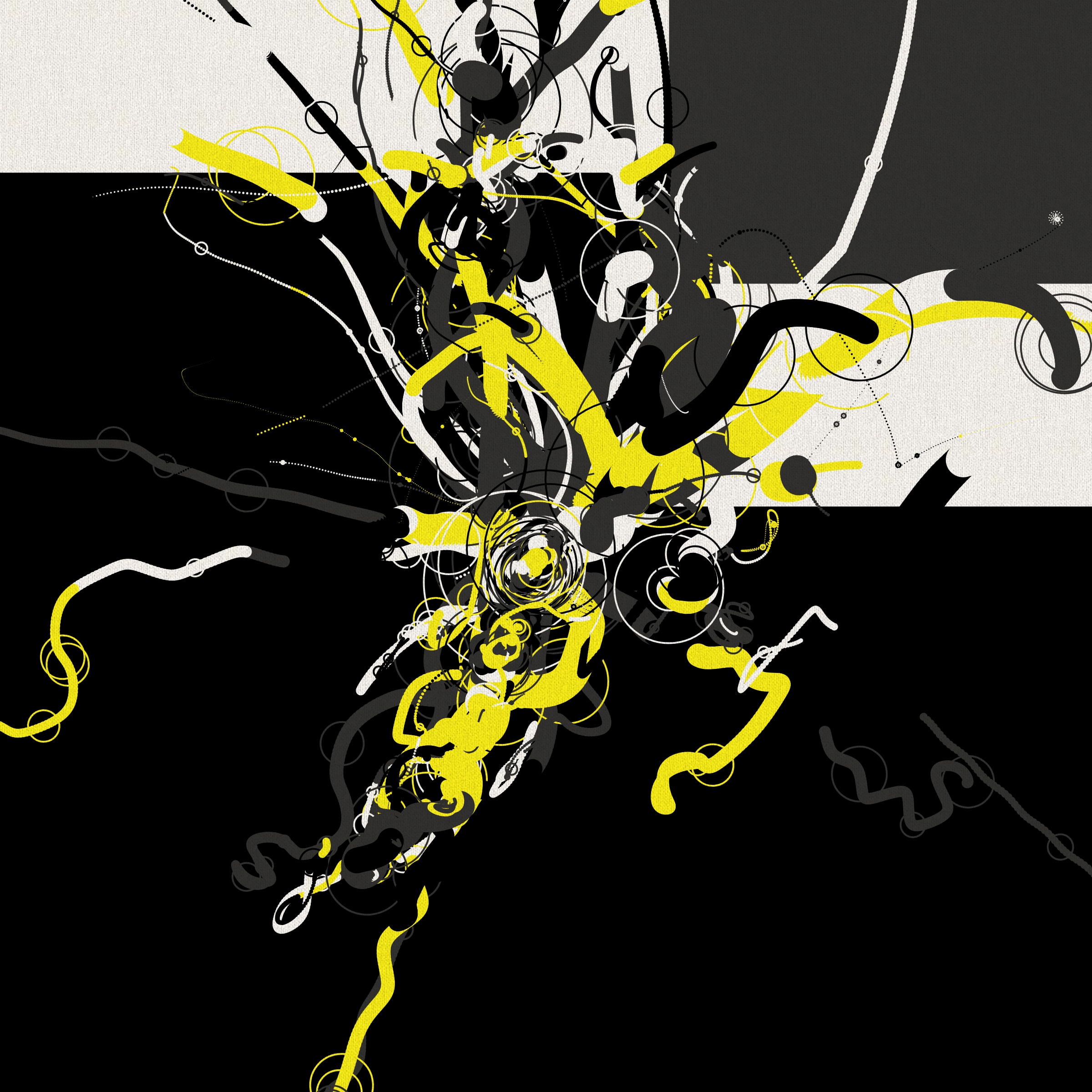 216000772