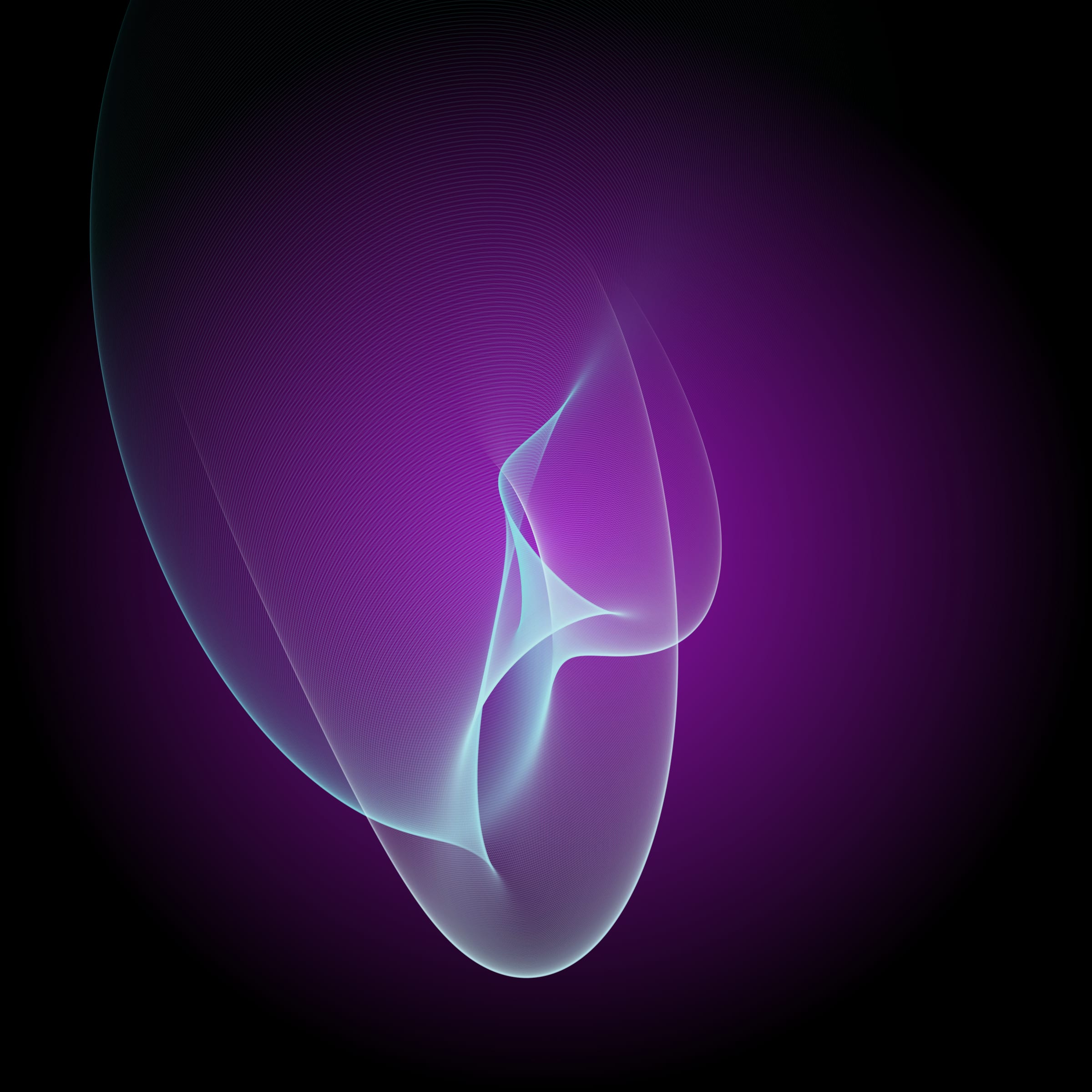 Featured token for: Spiromorphs