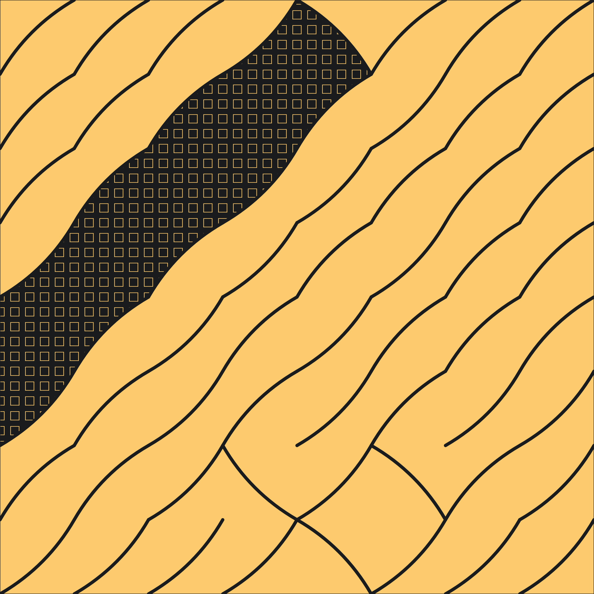 Cushions #231000055