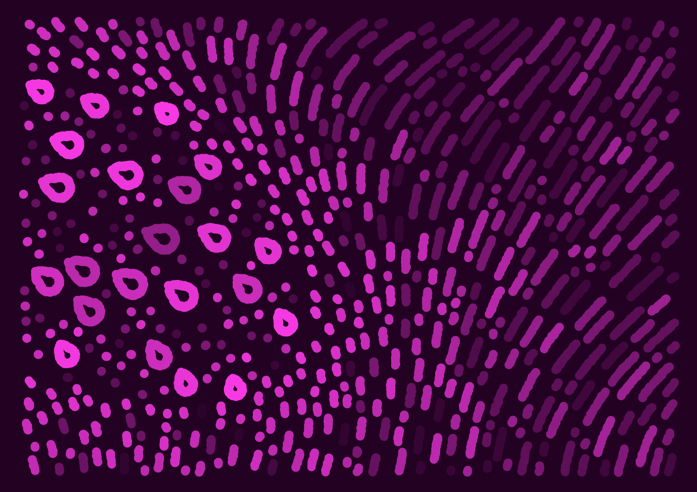 235000243