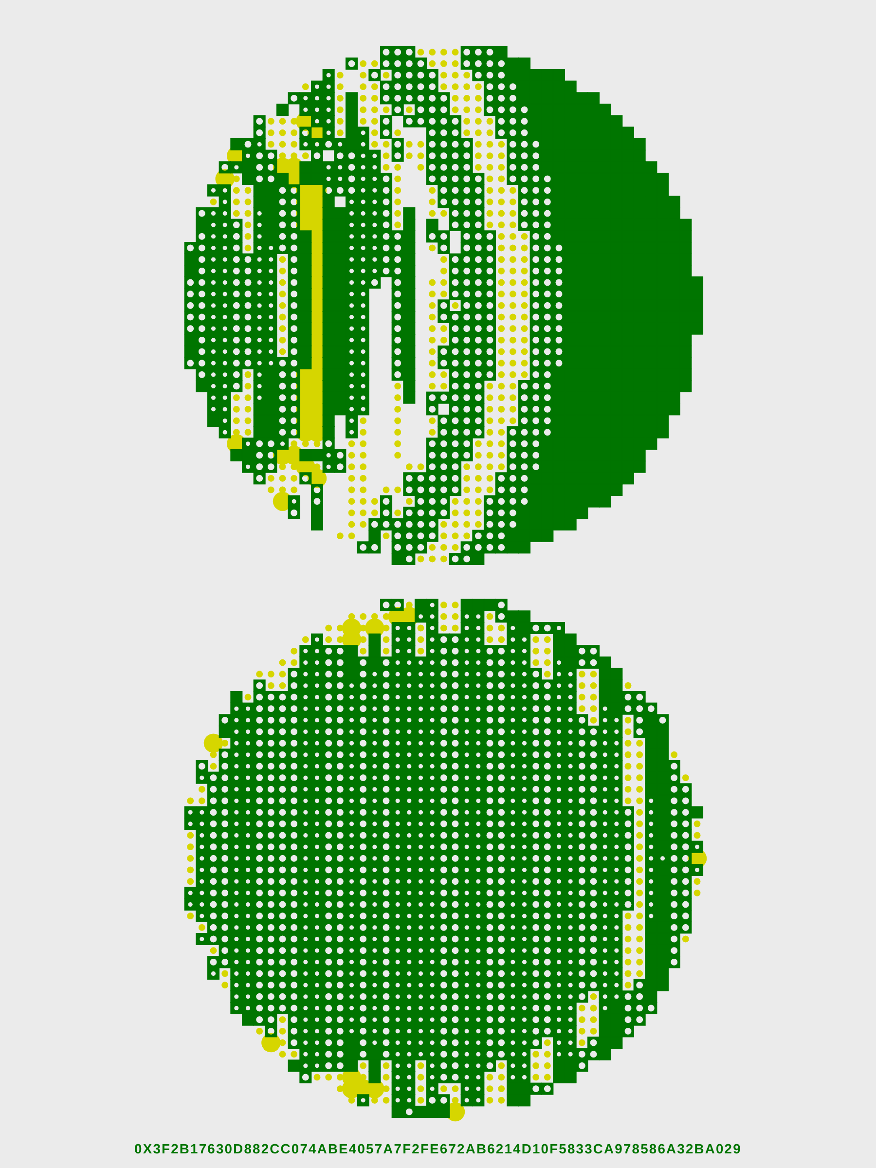 241000070
