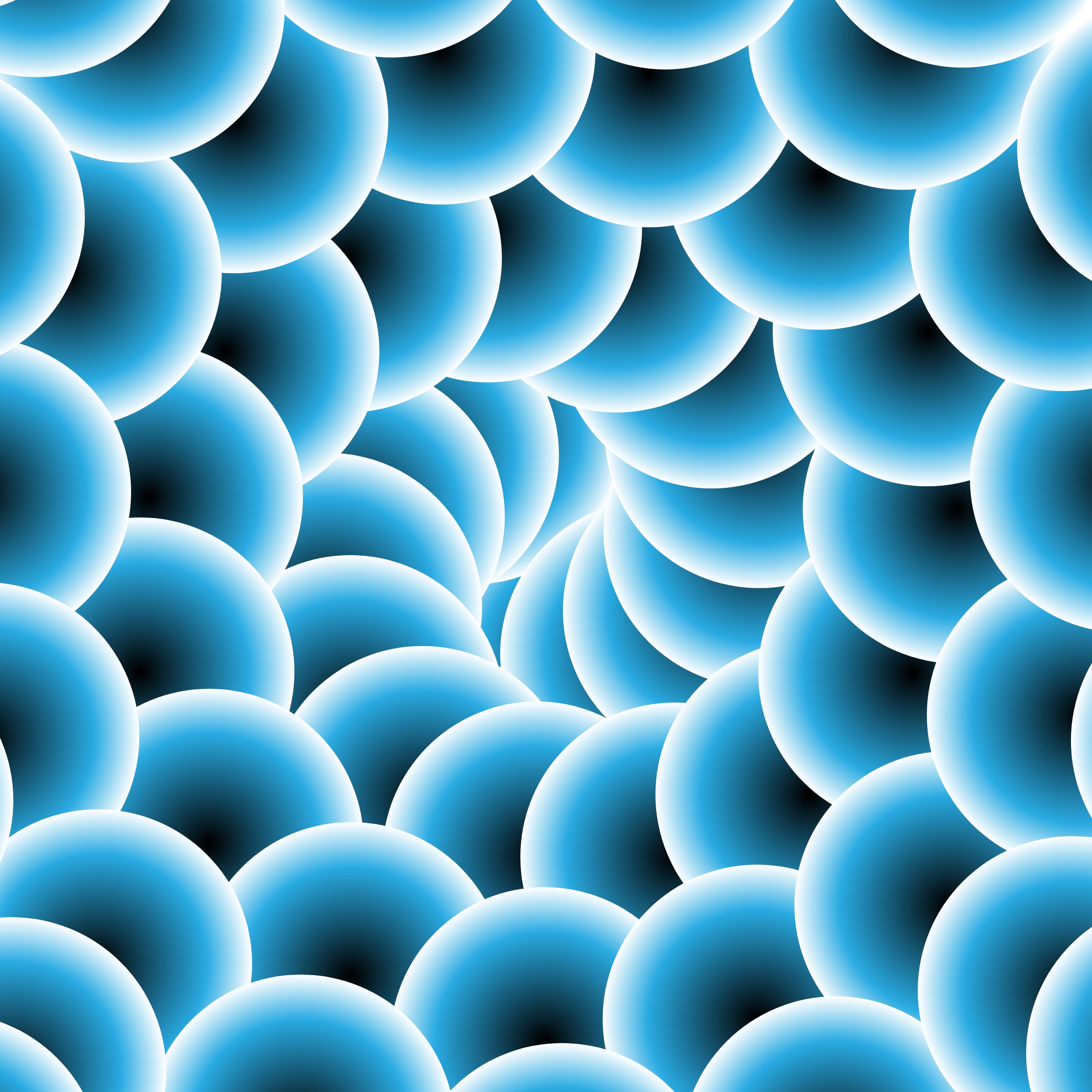 260000016