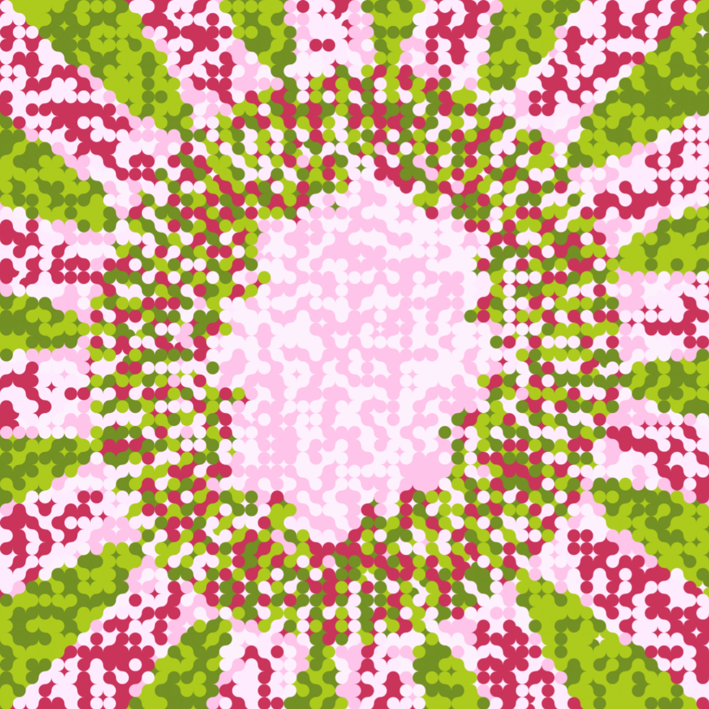 264000049