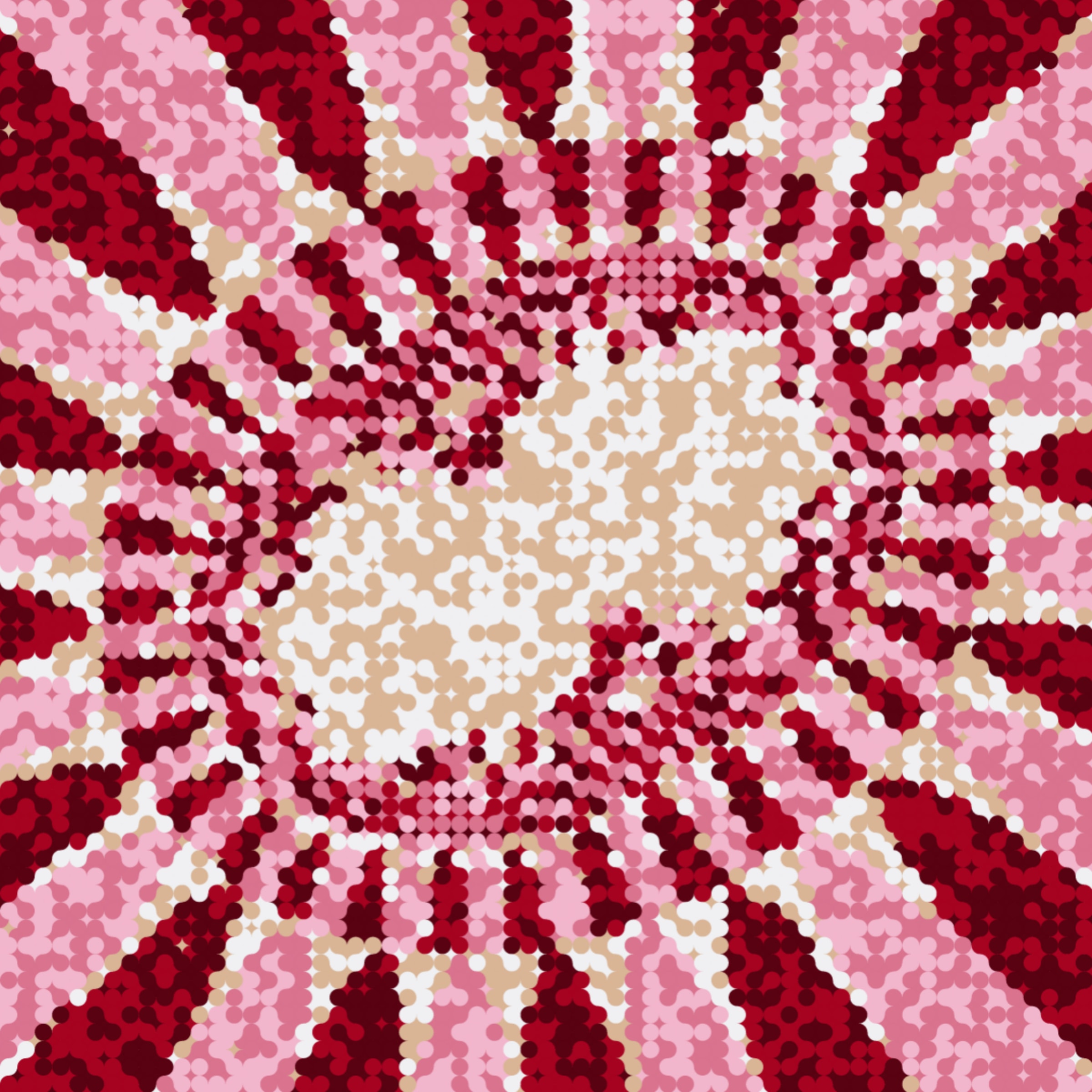 264000462