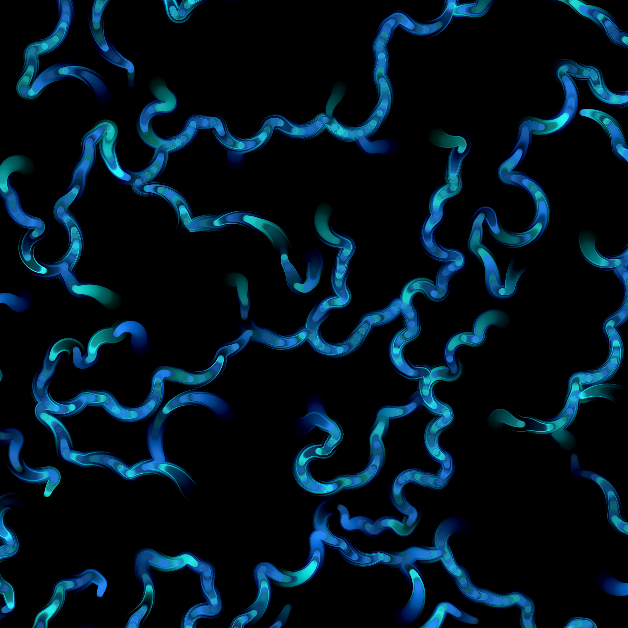 269000096