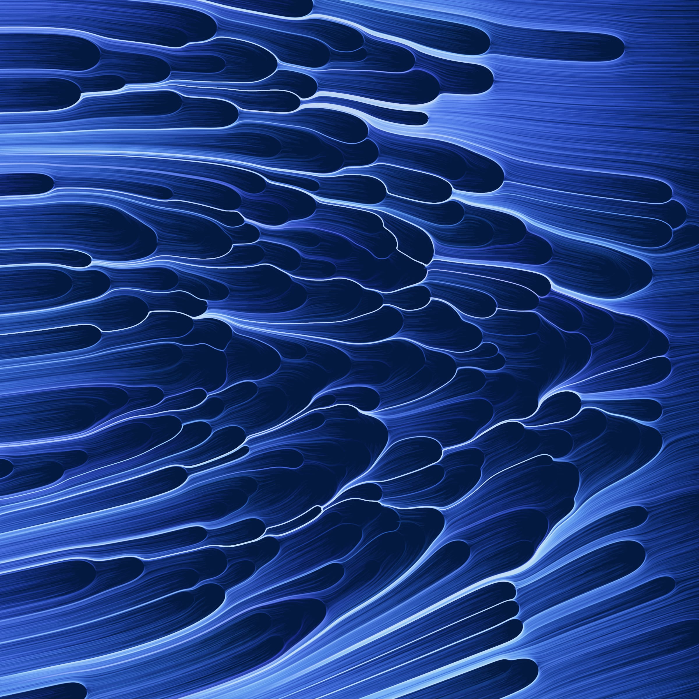 271000167