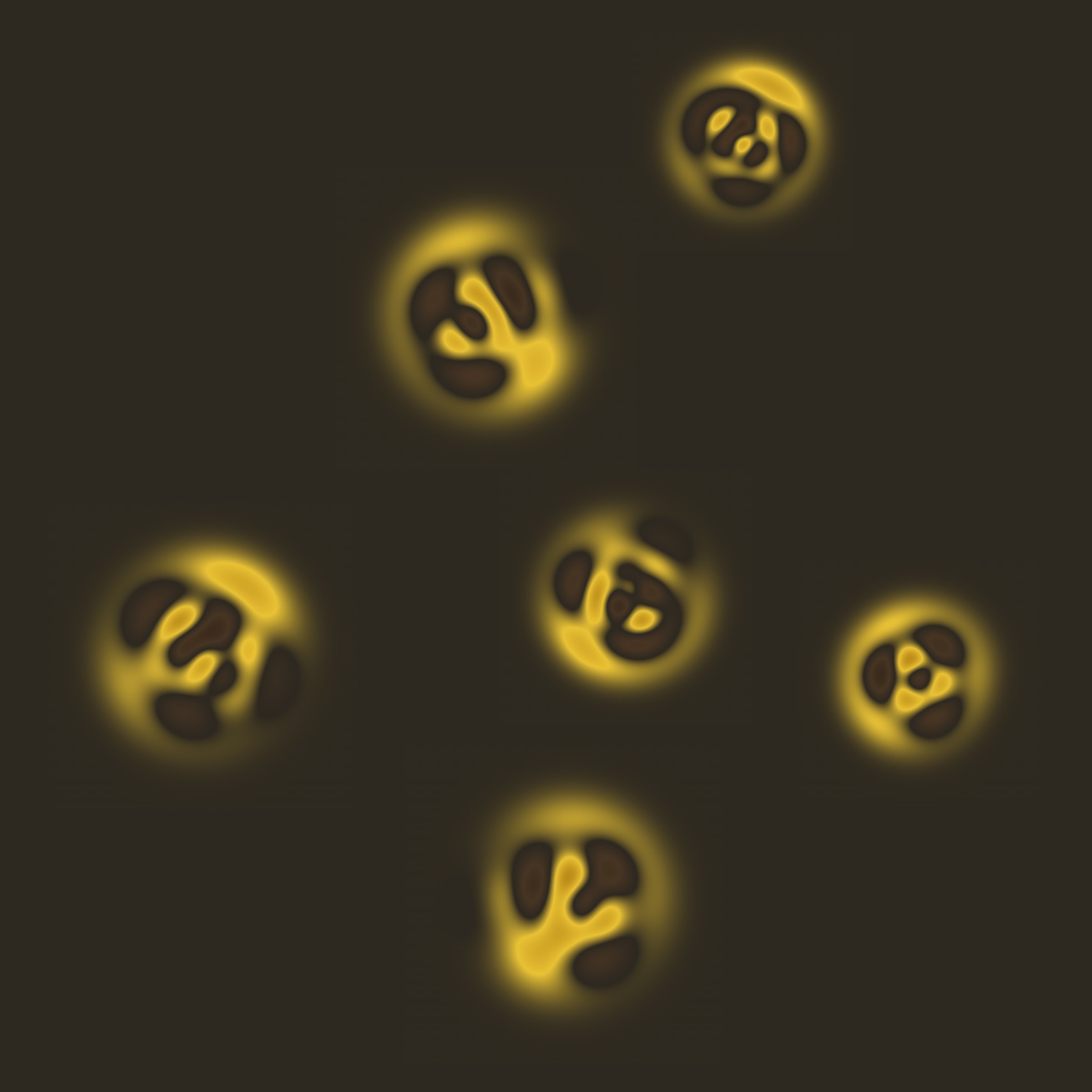 275000304