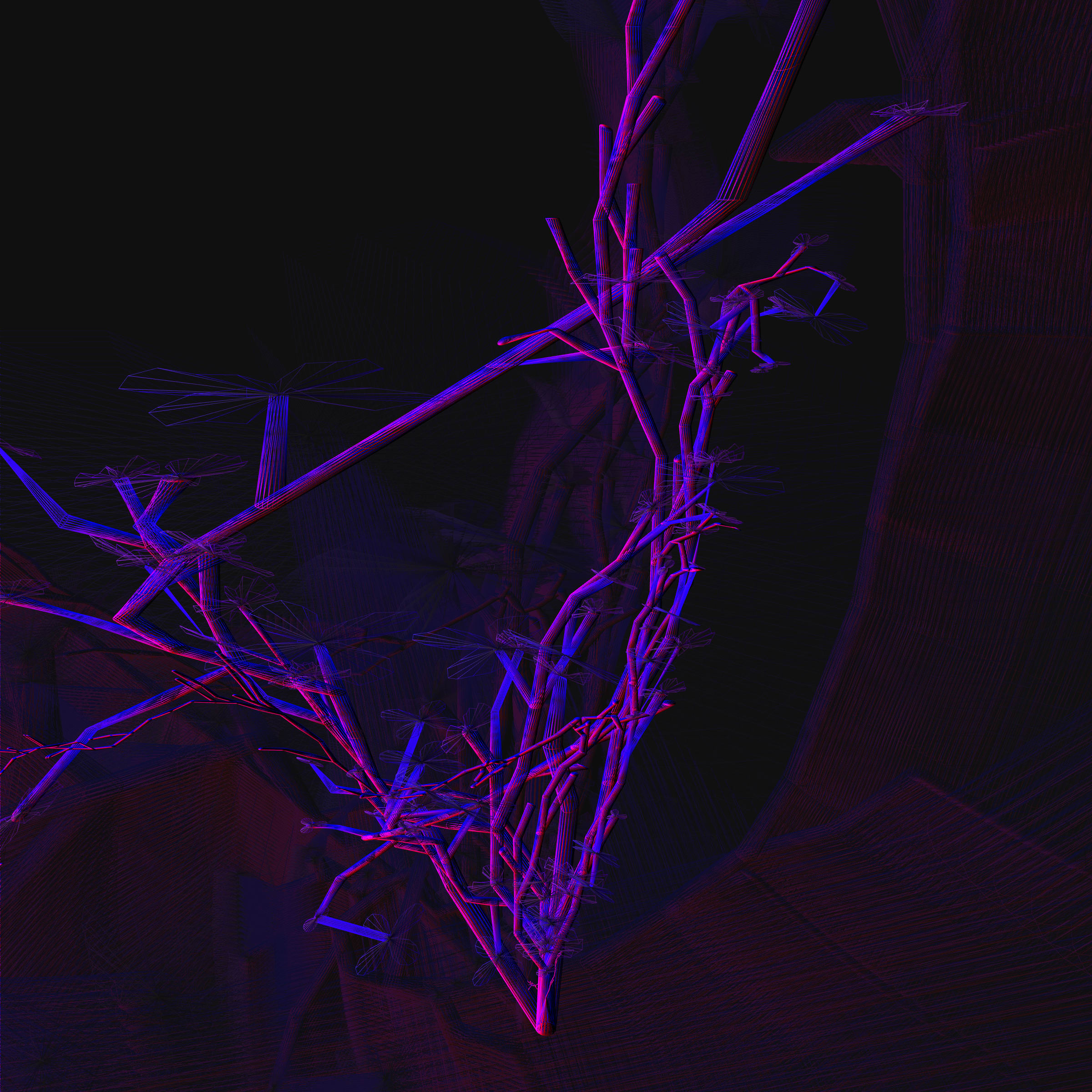 279000074