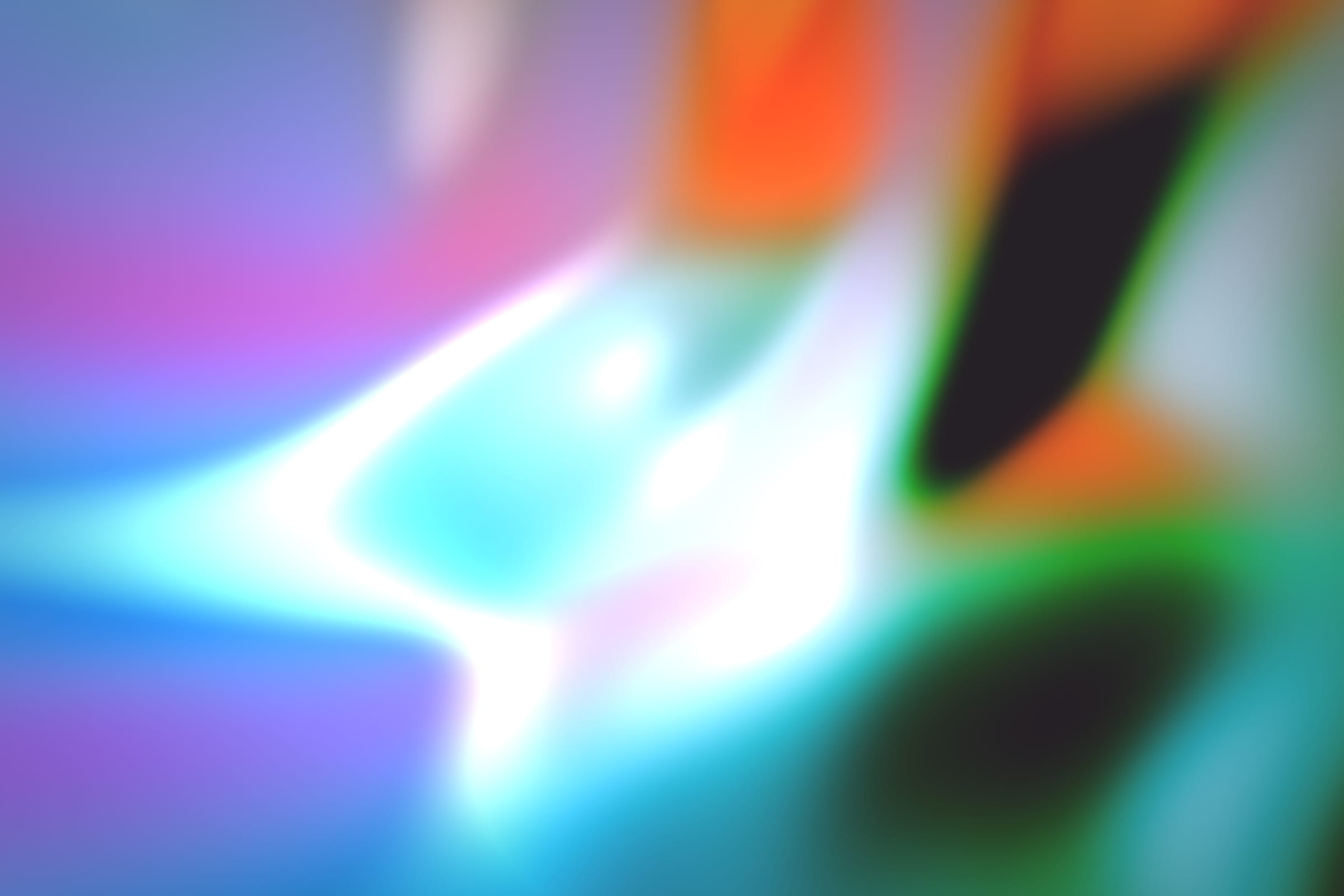 296000011