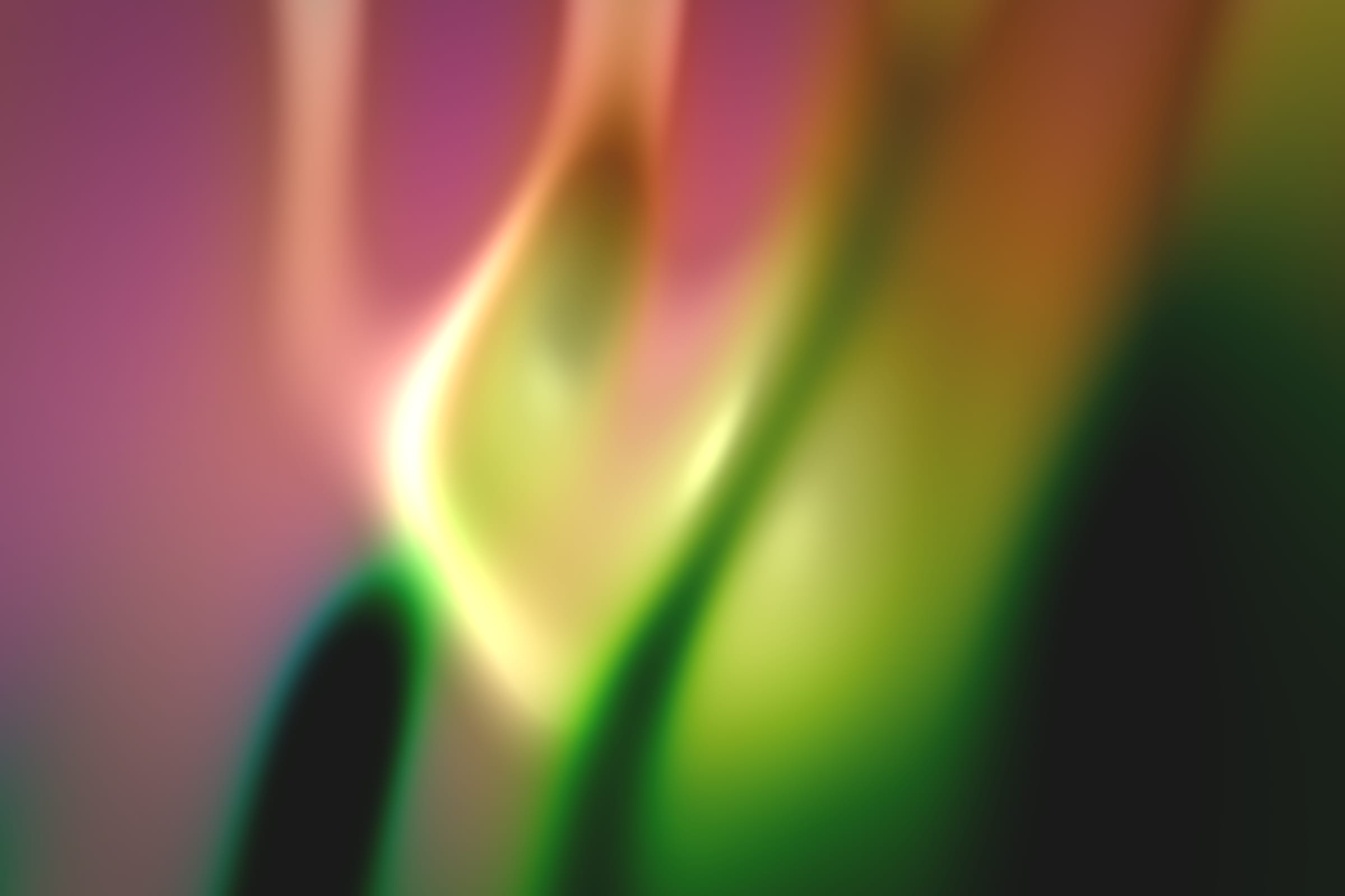 296000133