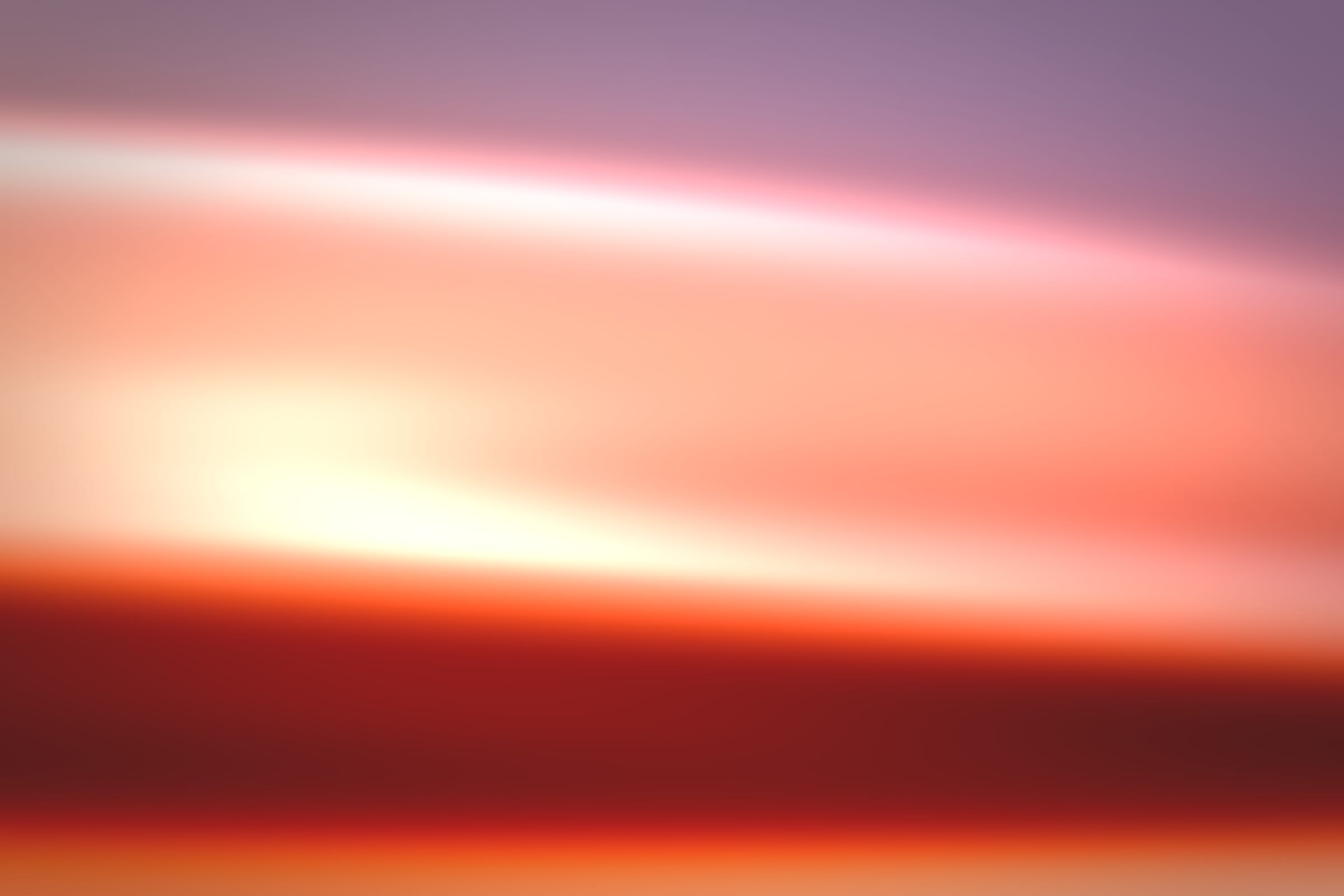 296000486