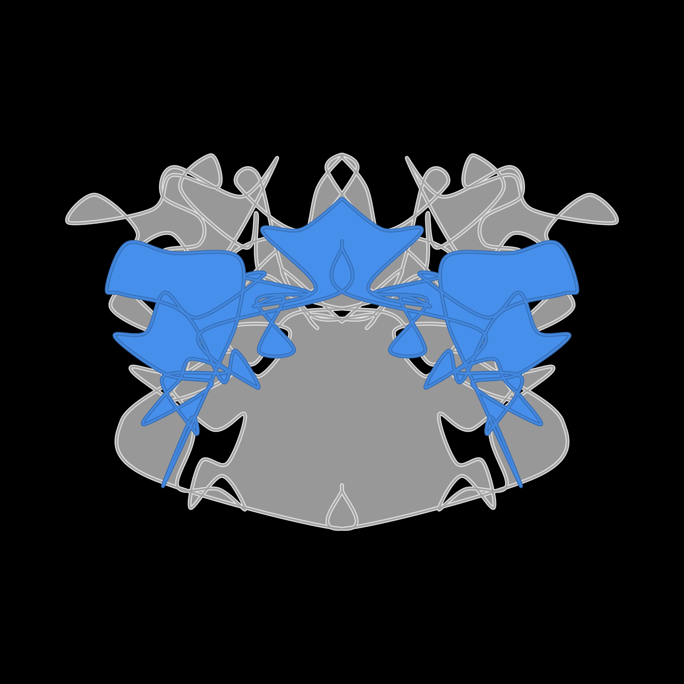Cryptoblots #3000550