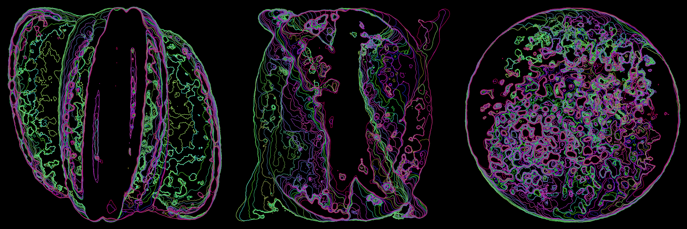 Primordial #302000002