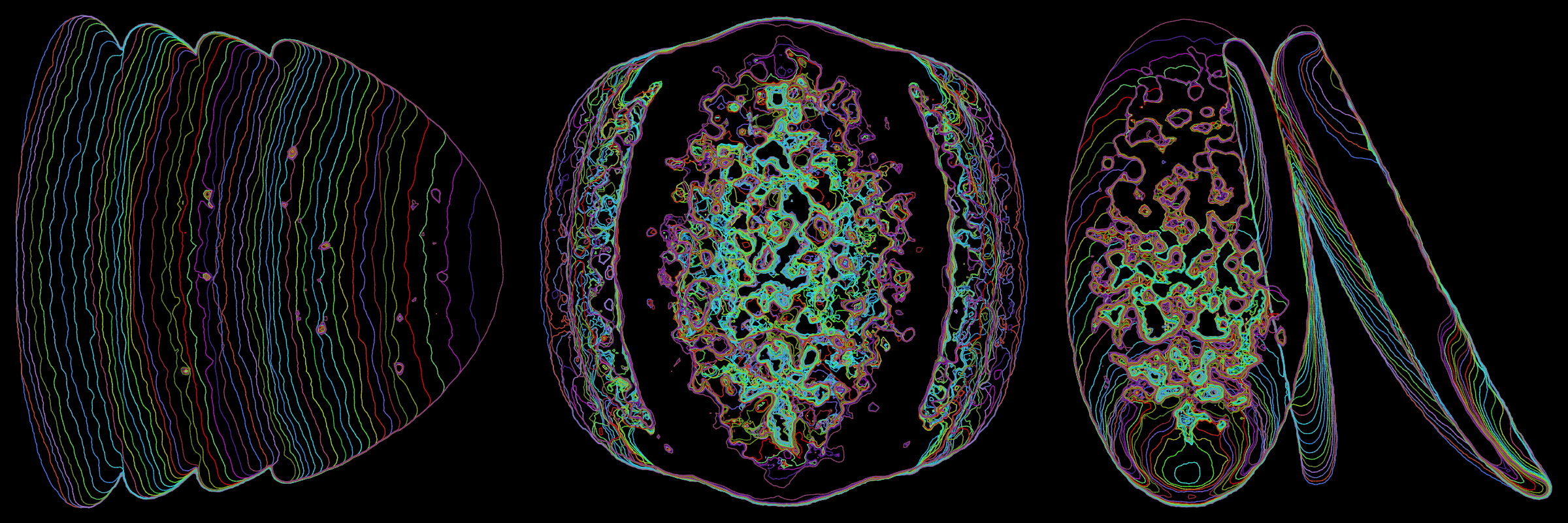 Primordial #302000015