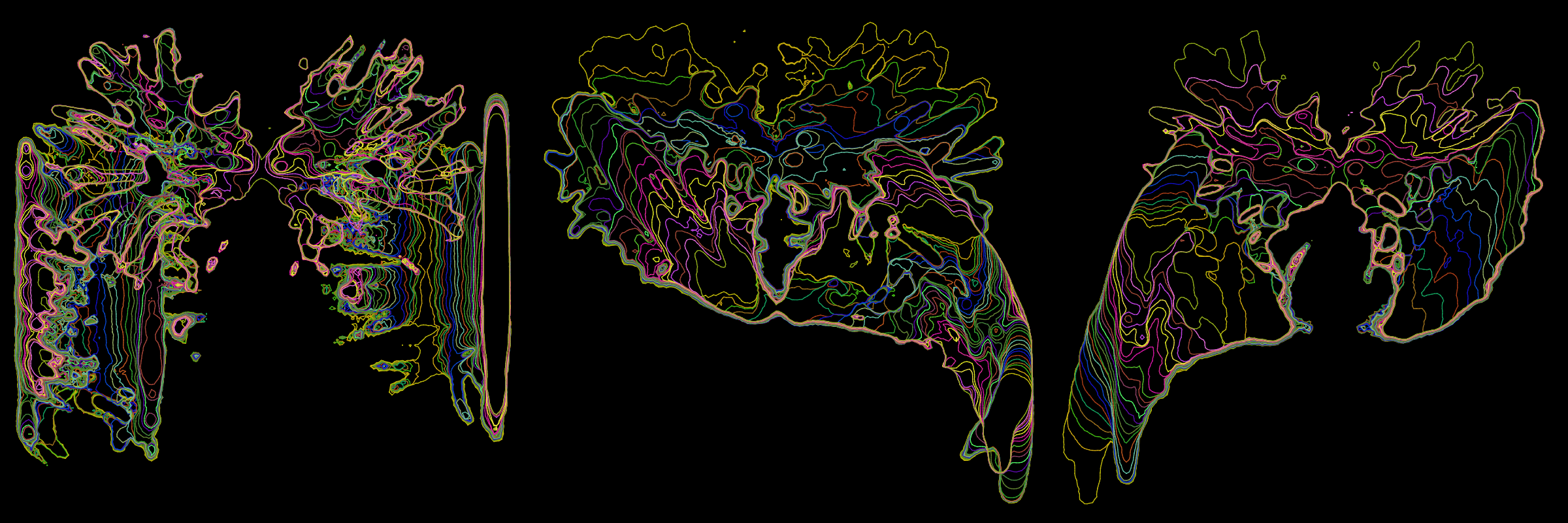 Primordial #302000034
