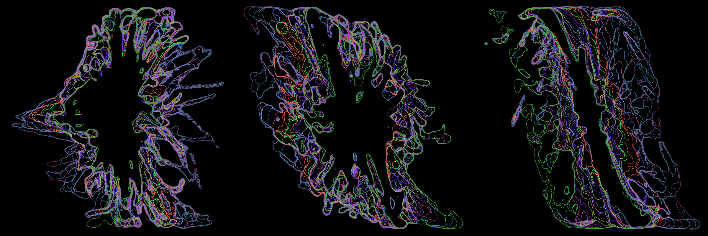 Primordial #302000168