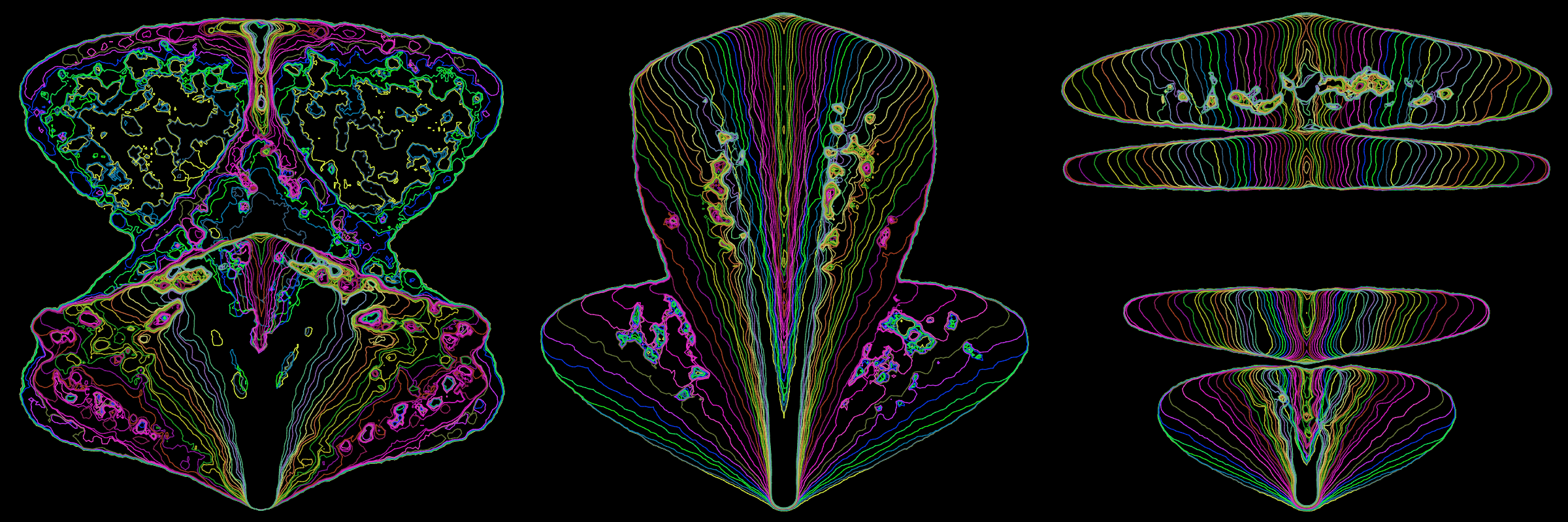 Primordial #302000240