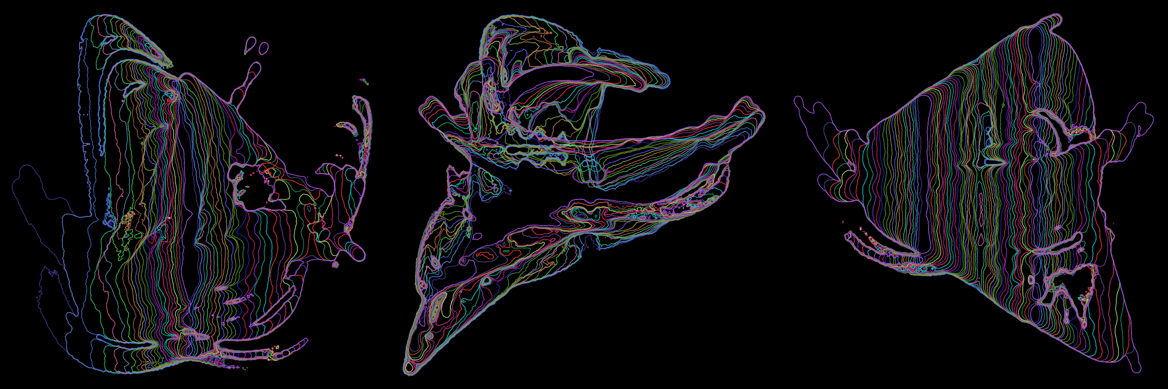 Primordial #302000322