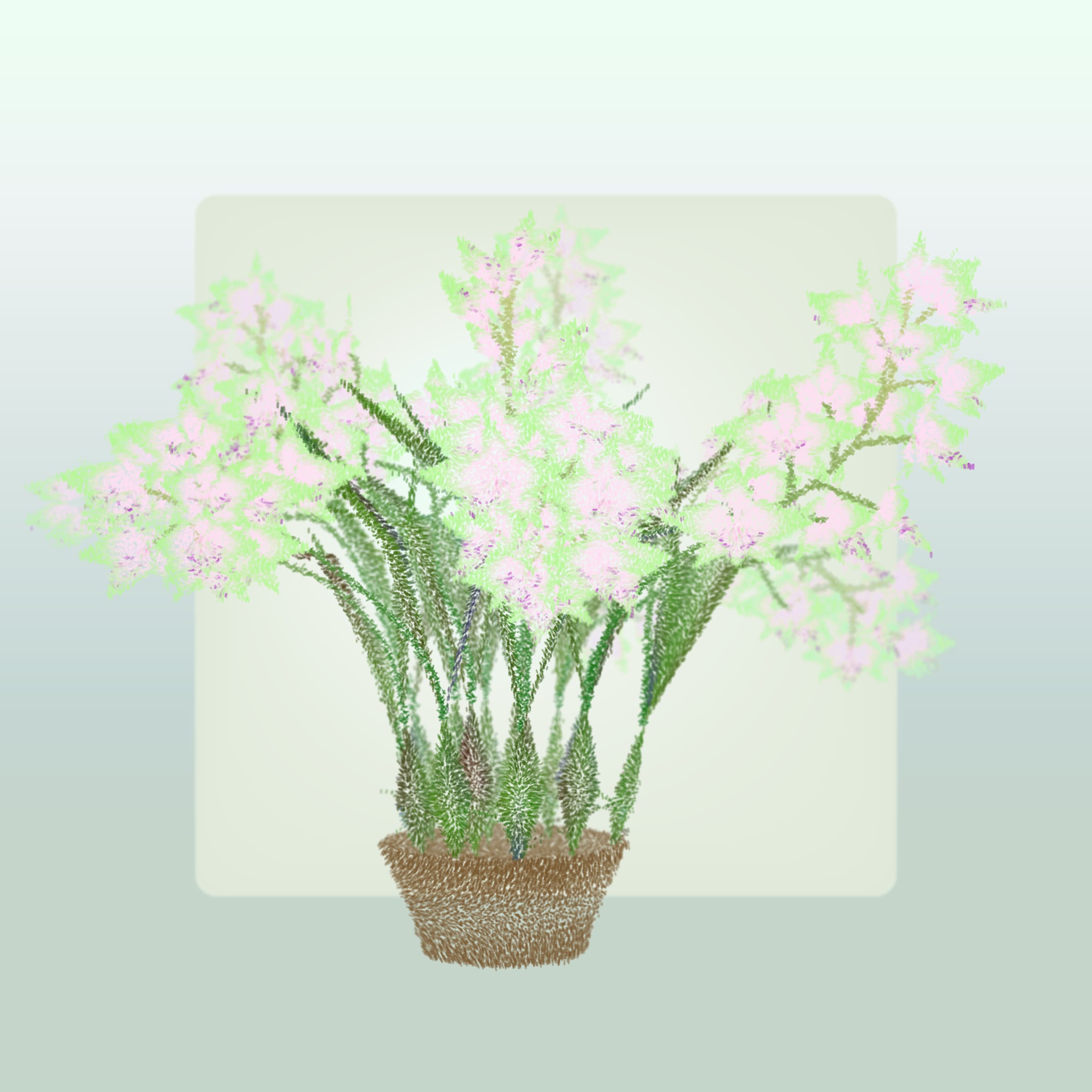 Featured token for: Cattleya