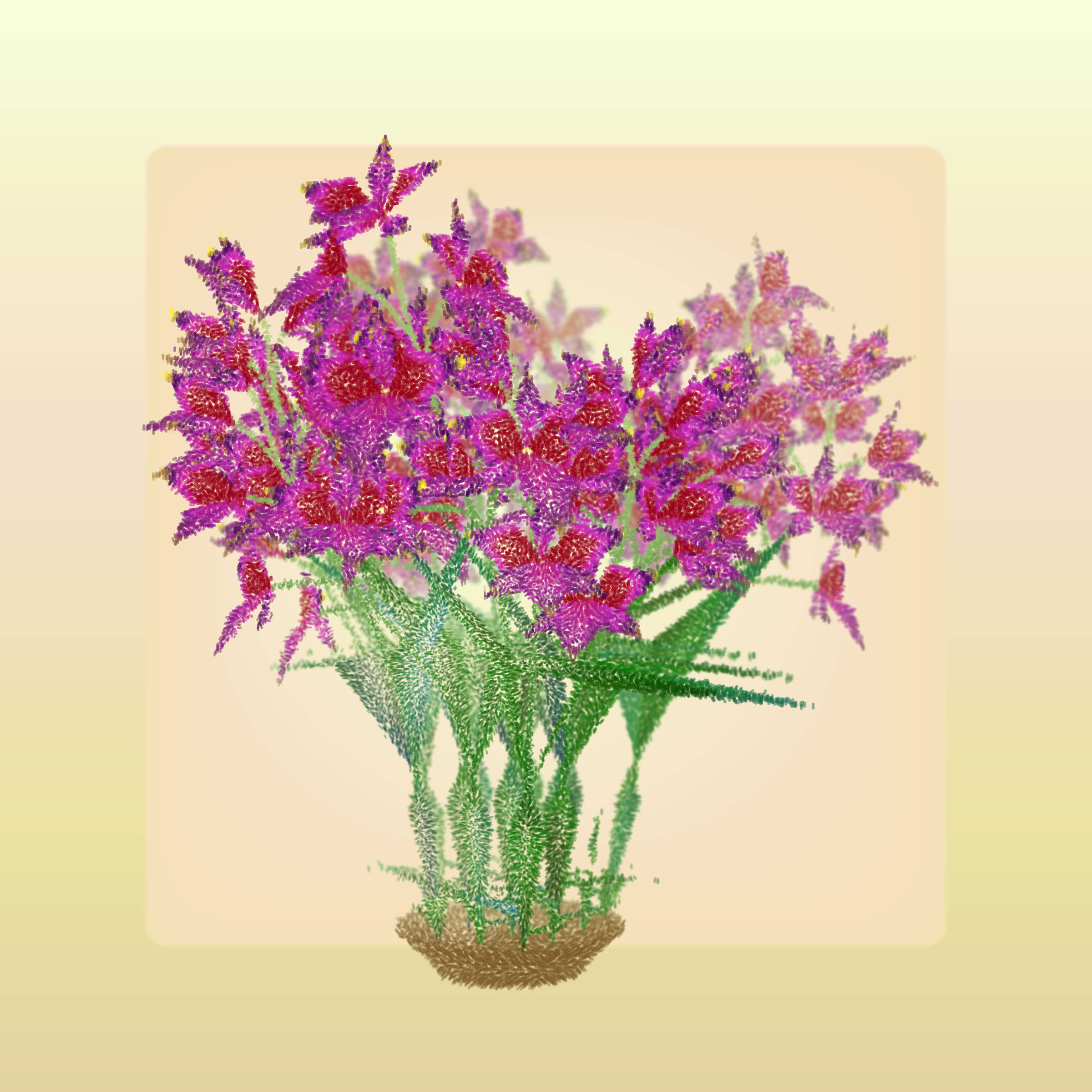 Cattleya
