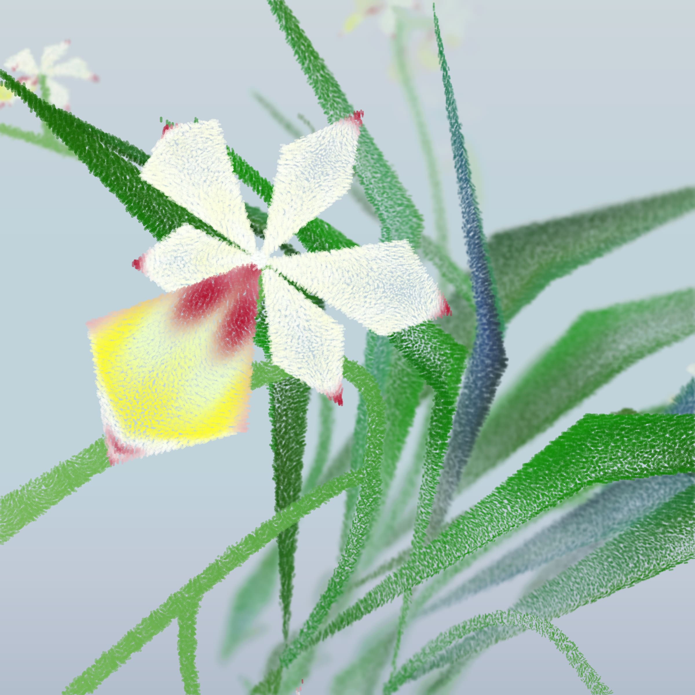Cattleya preview 4