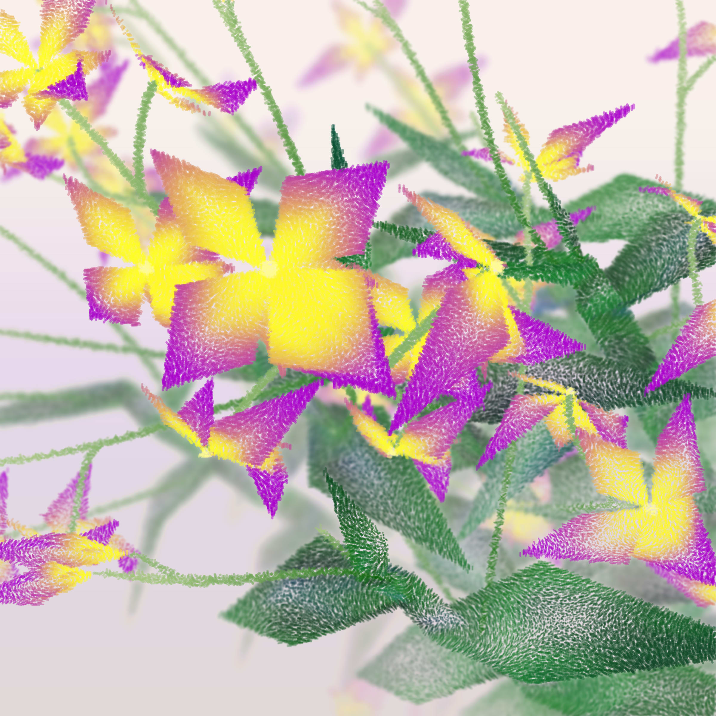 Cattleya preview 2