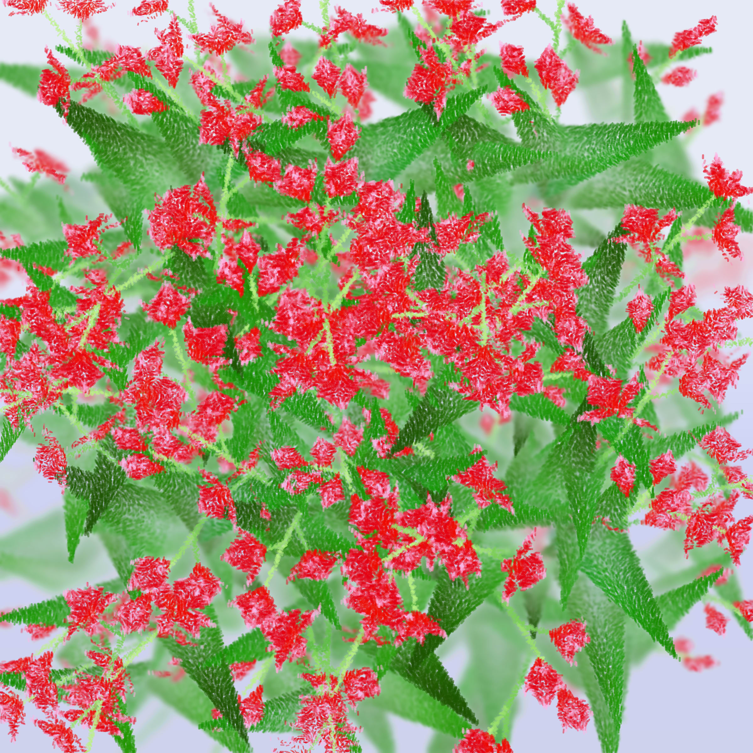 Cattleya preview 1