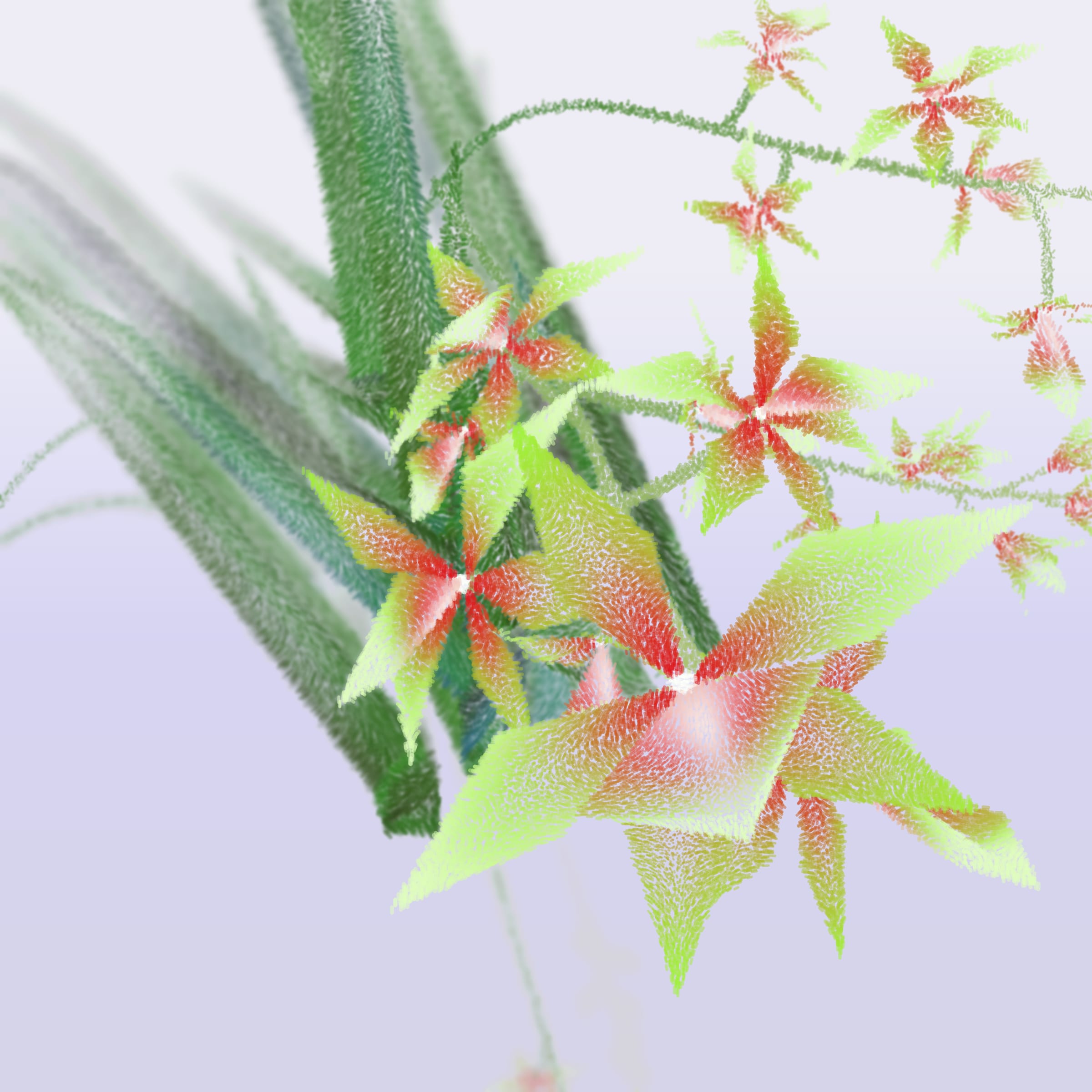 Featured token for: Cattleya