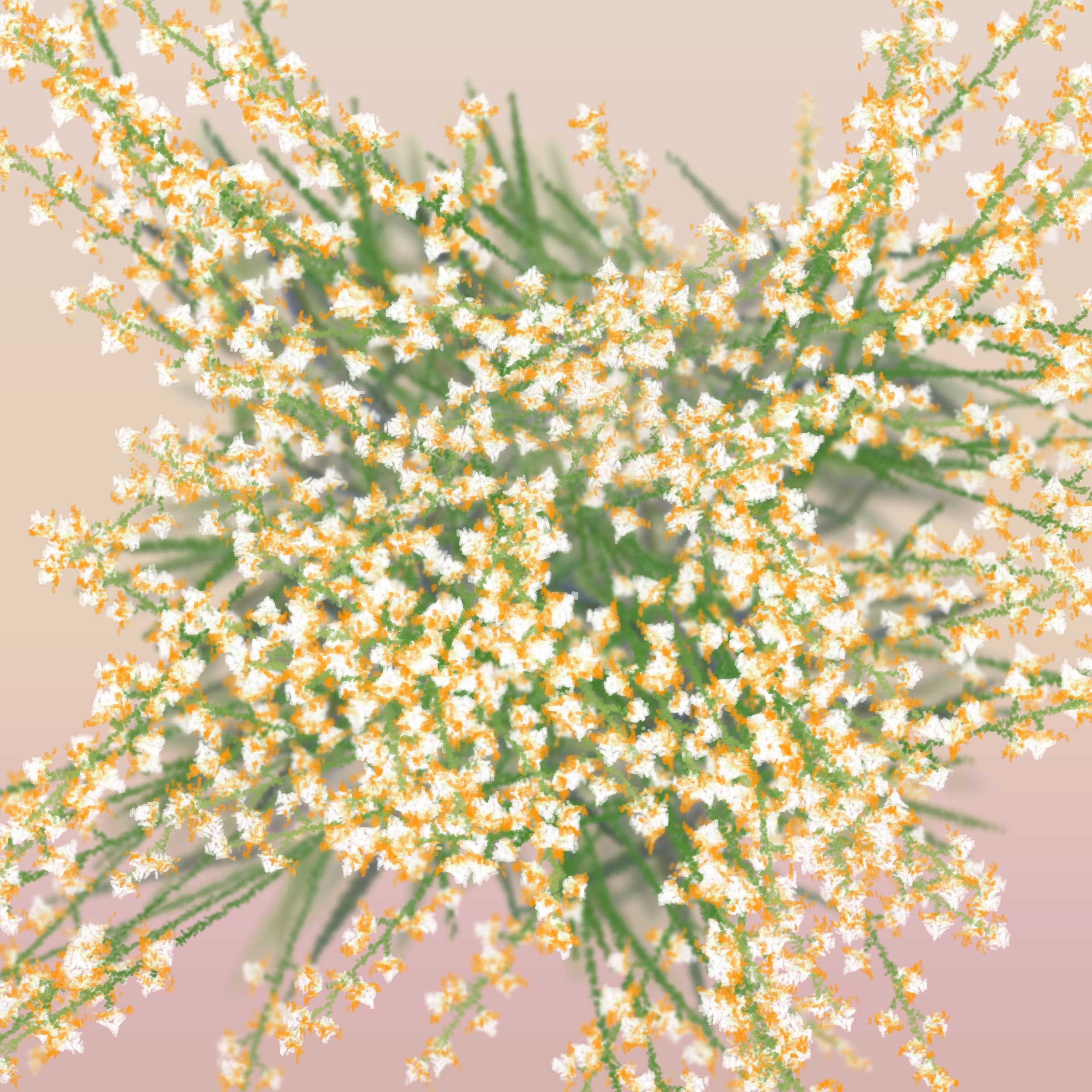 Cattleya preview 2
