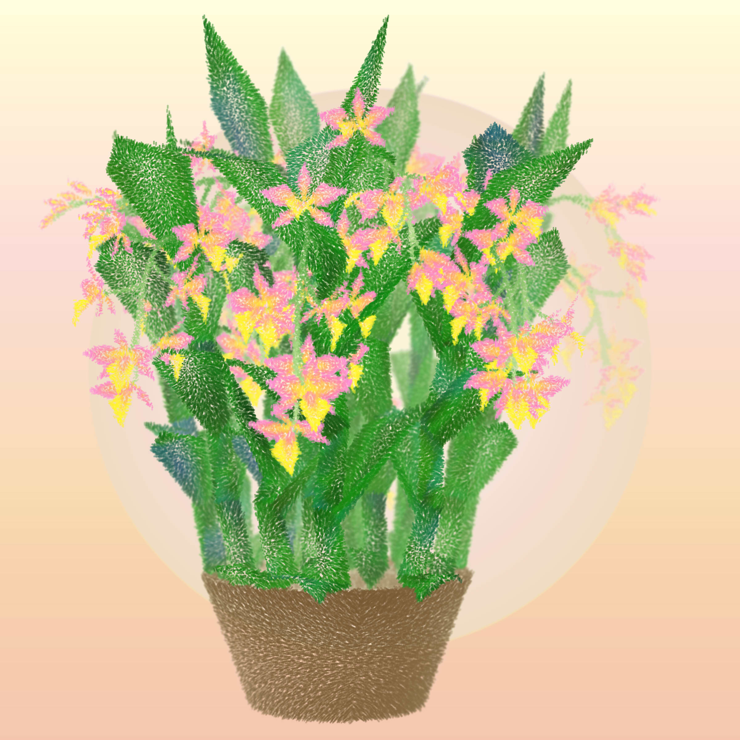 Featured token for: Cattleya