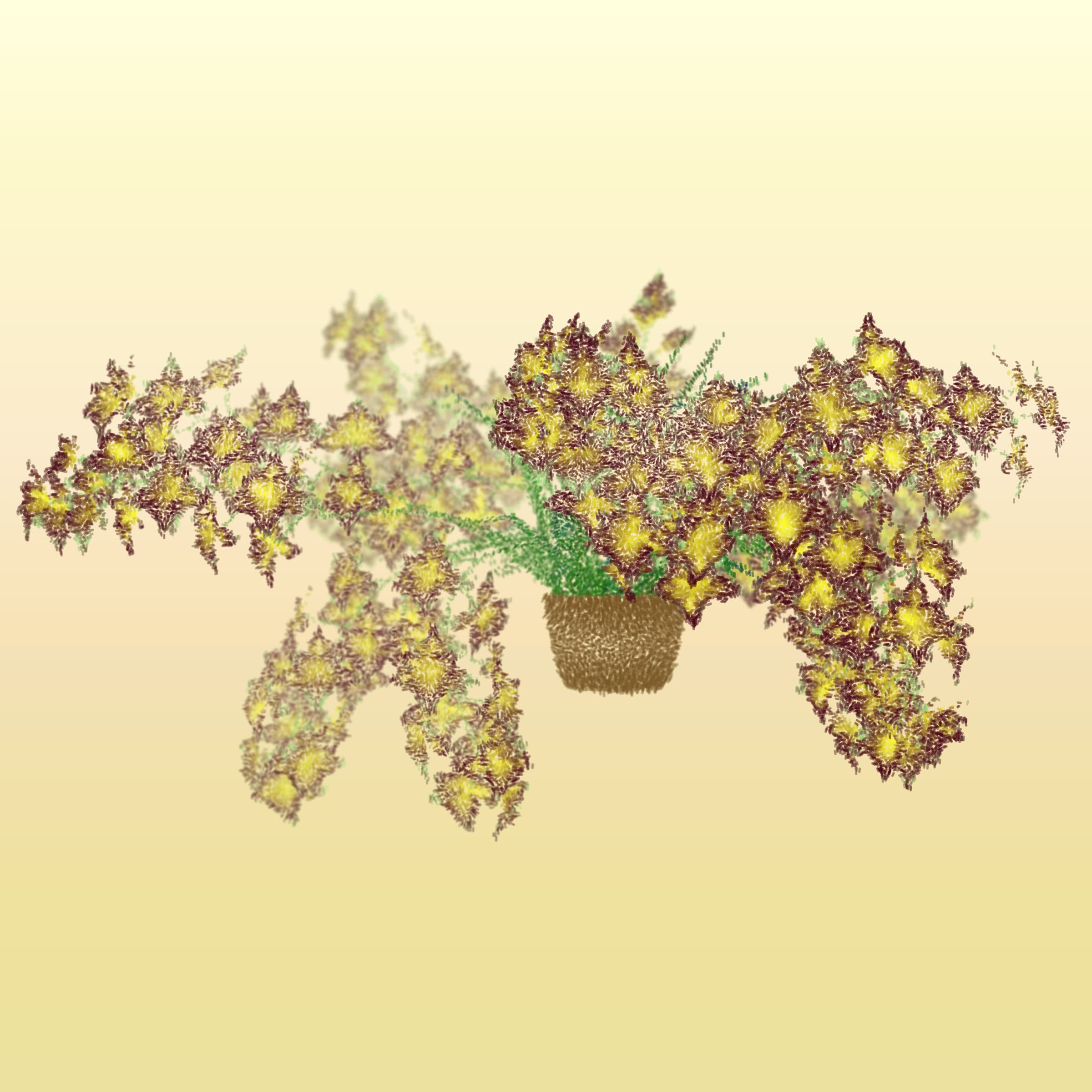 Featured token for: Cattleya