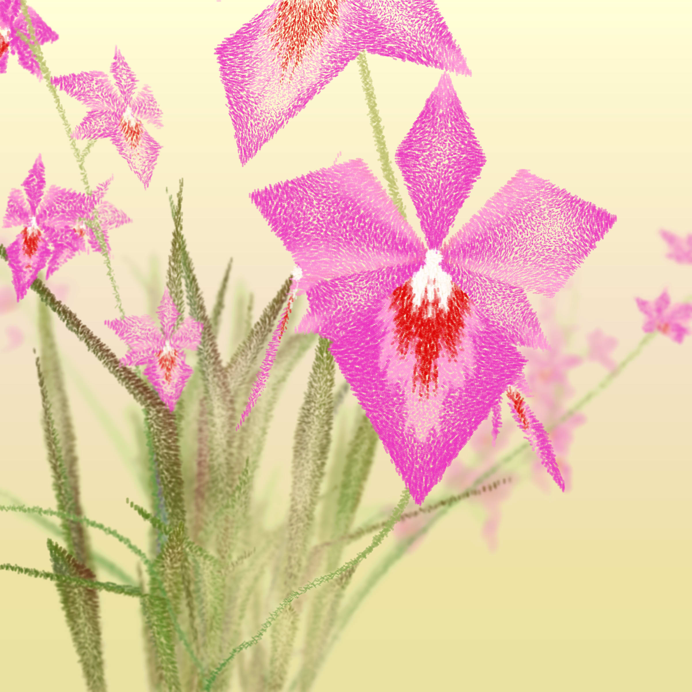 Featured token for: Cattleya