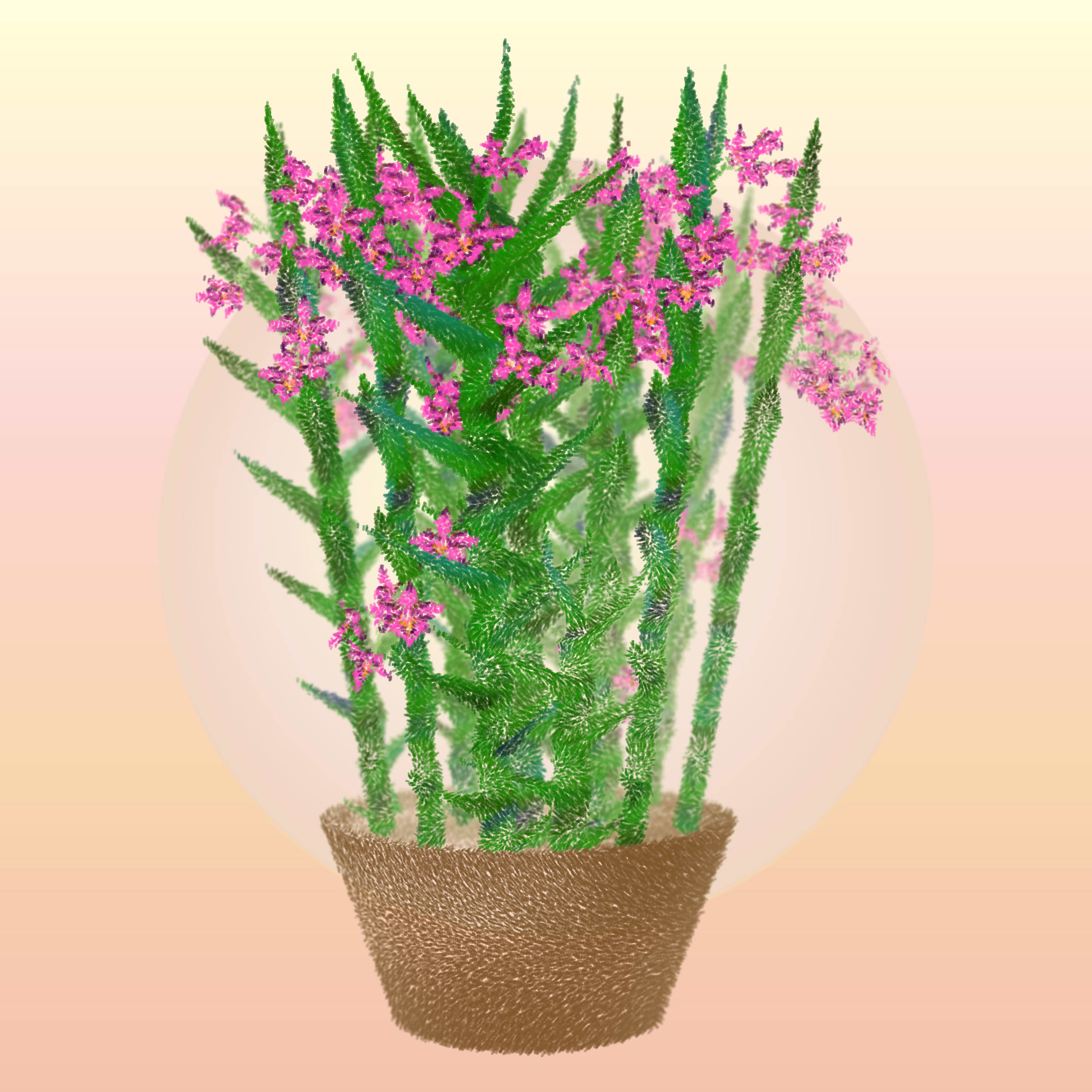 Featured token for: Cattleya