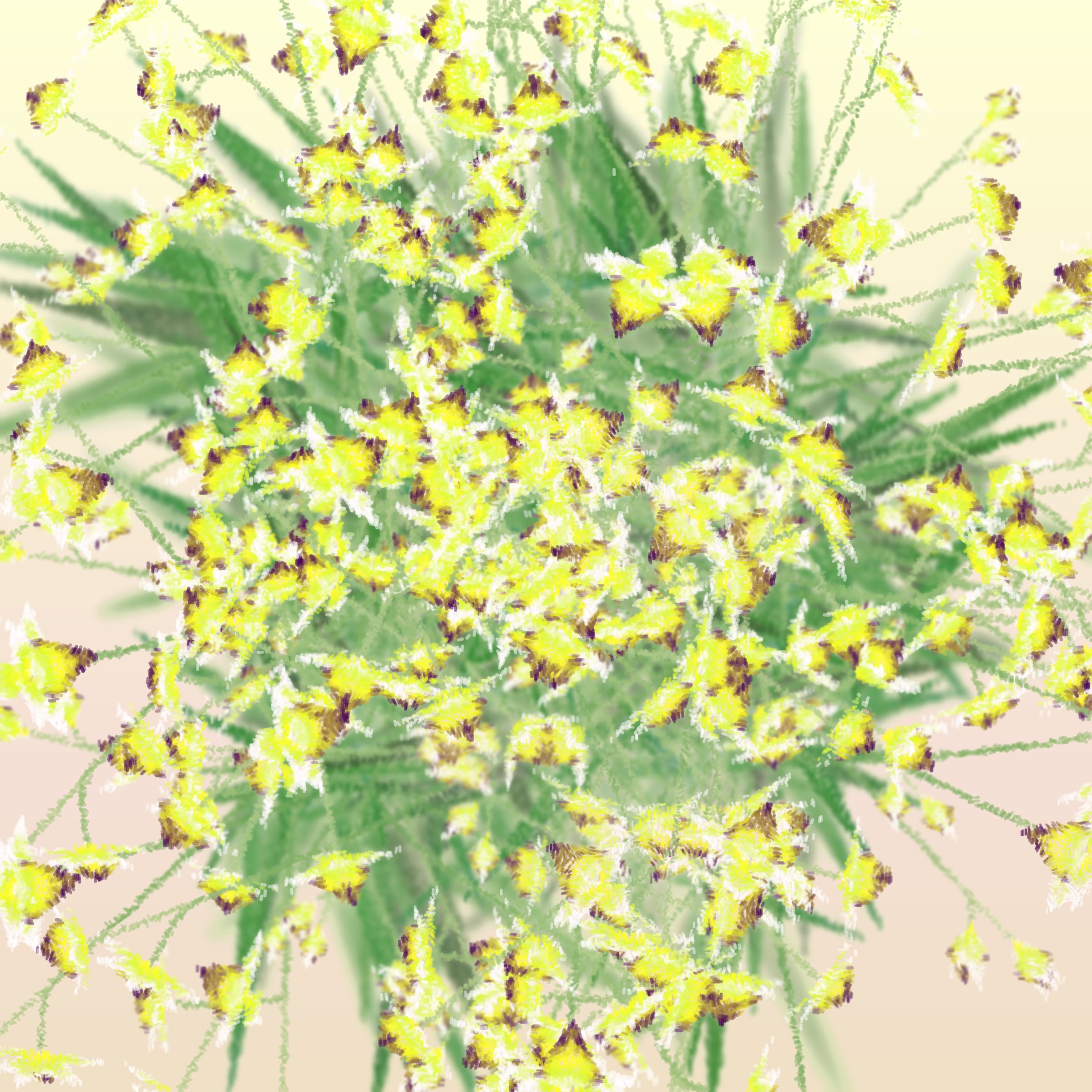 Featured token for: Cattleya