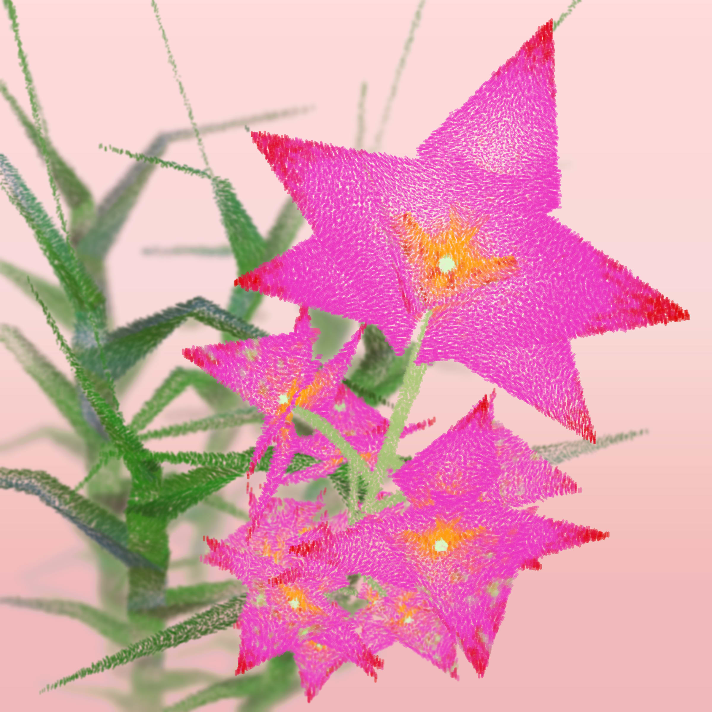 Featured token for: Cattleya