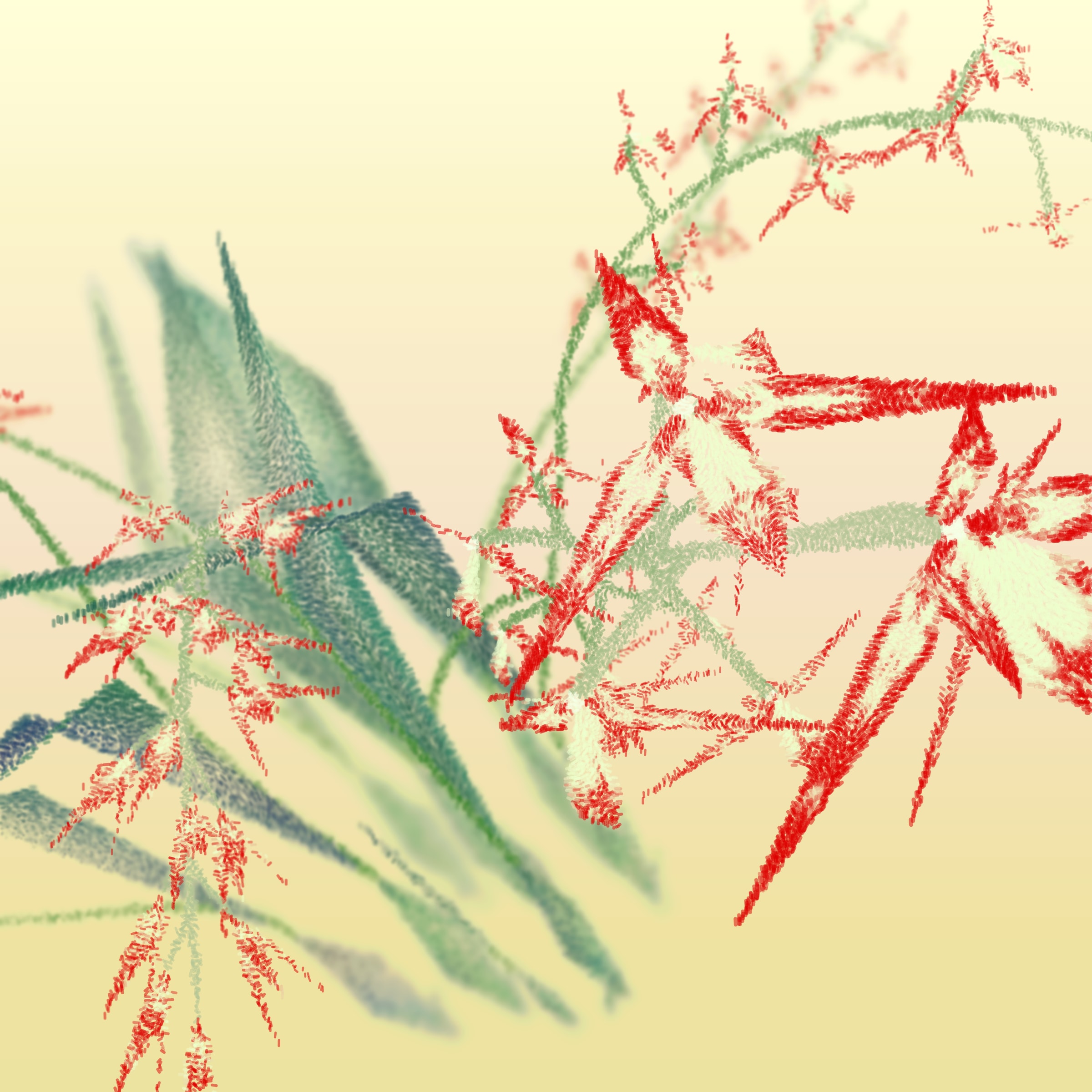 Featured token for: Cattleya
