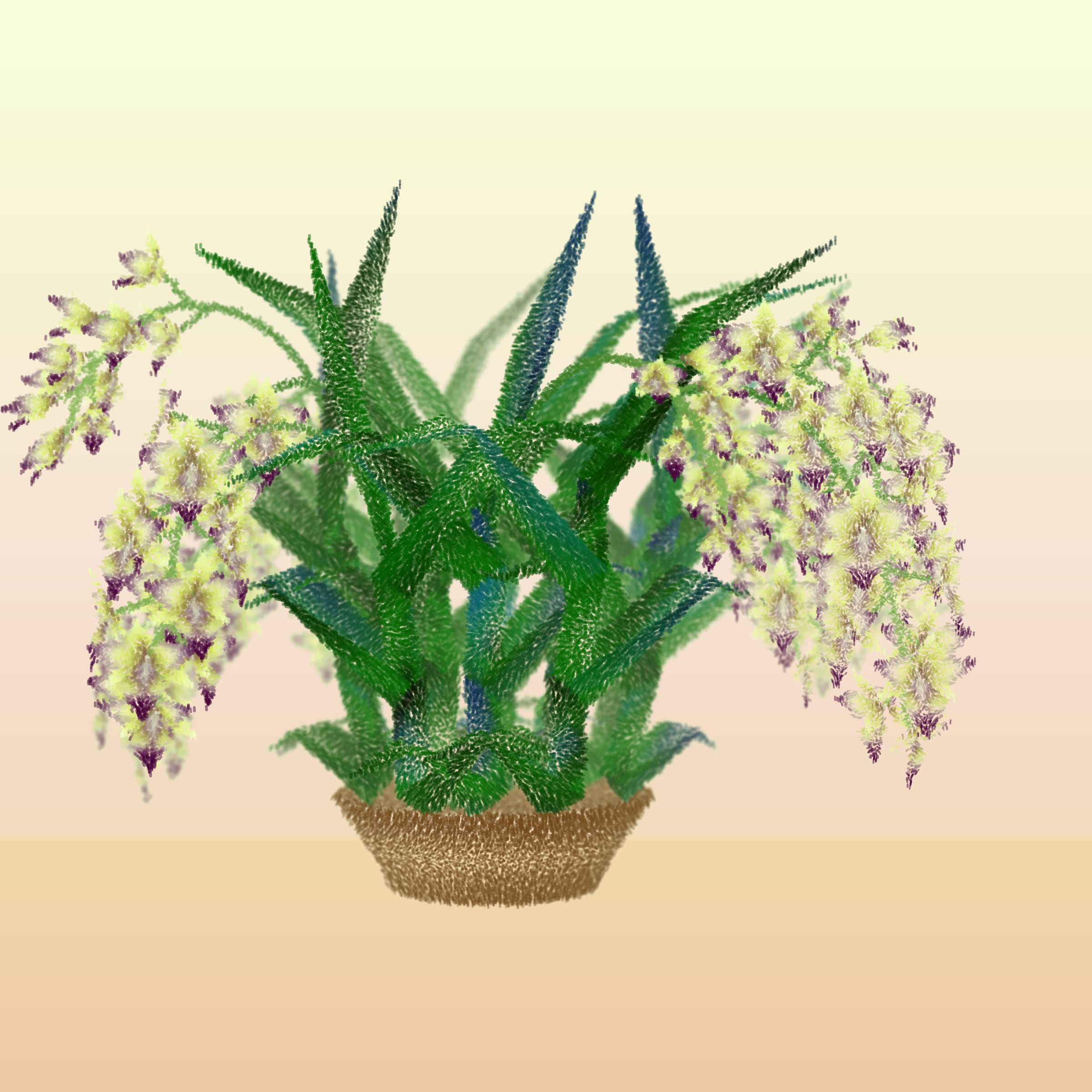 Featured token for: Cattleya