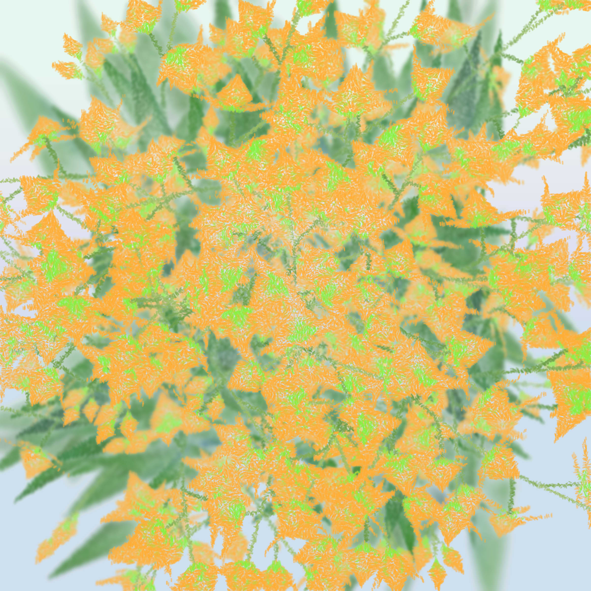 308000163