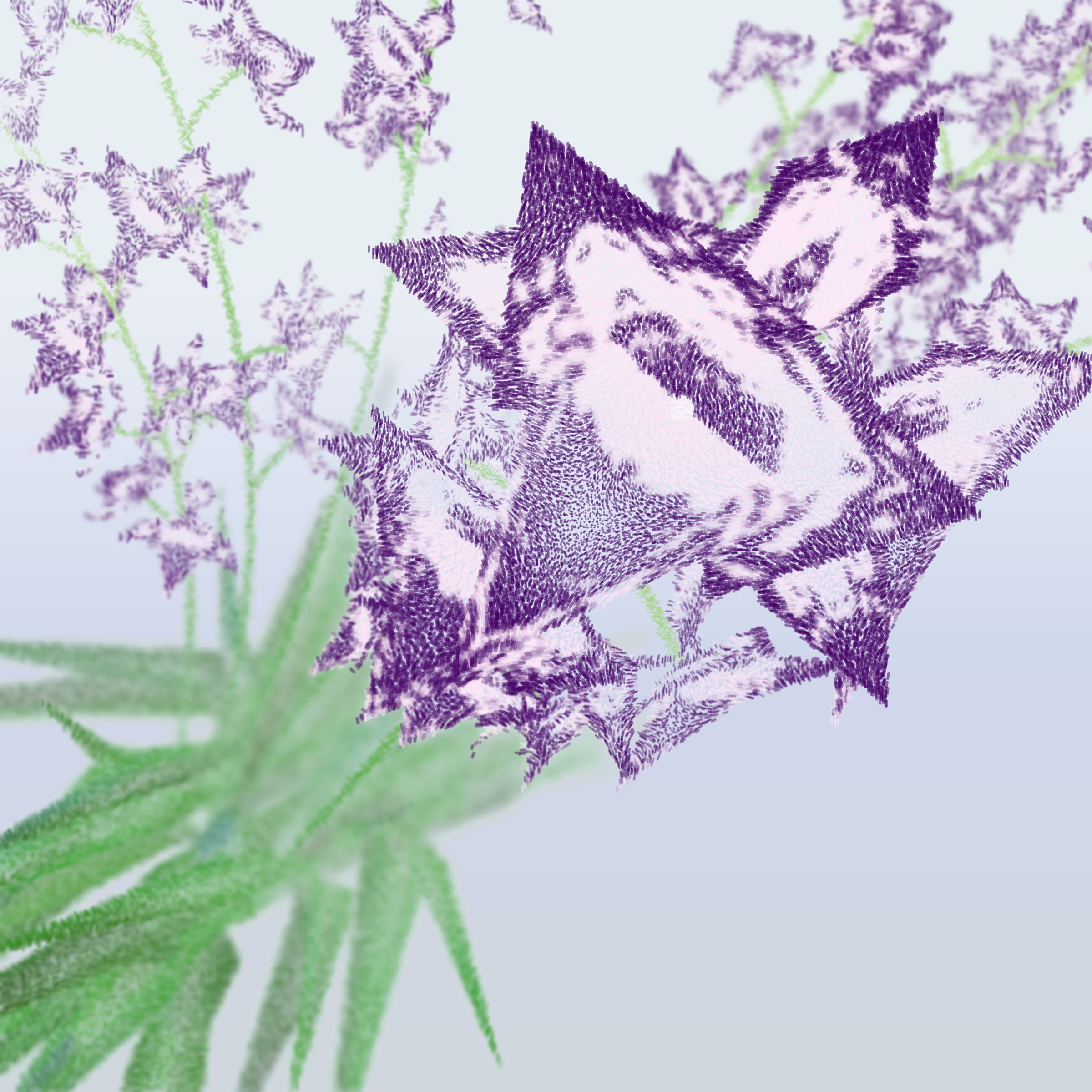 Featured token for: Cattleya