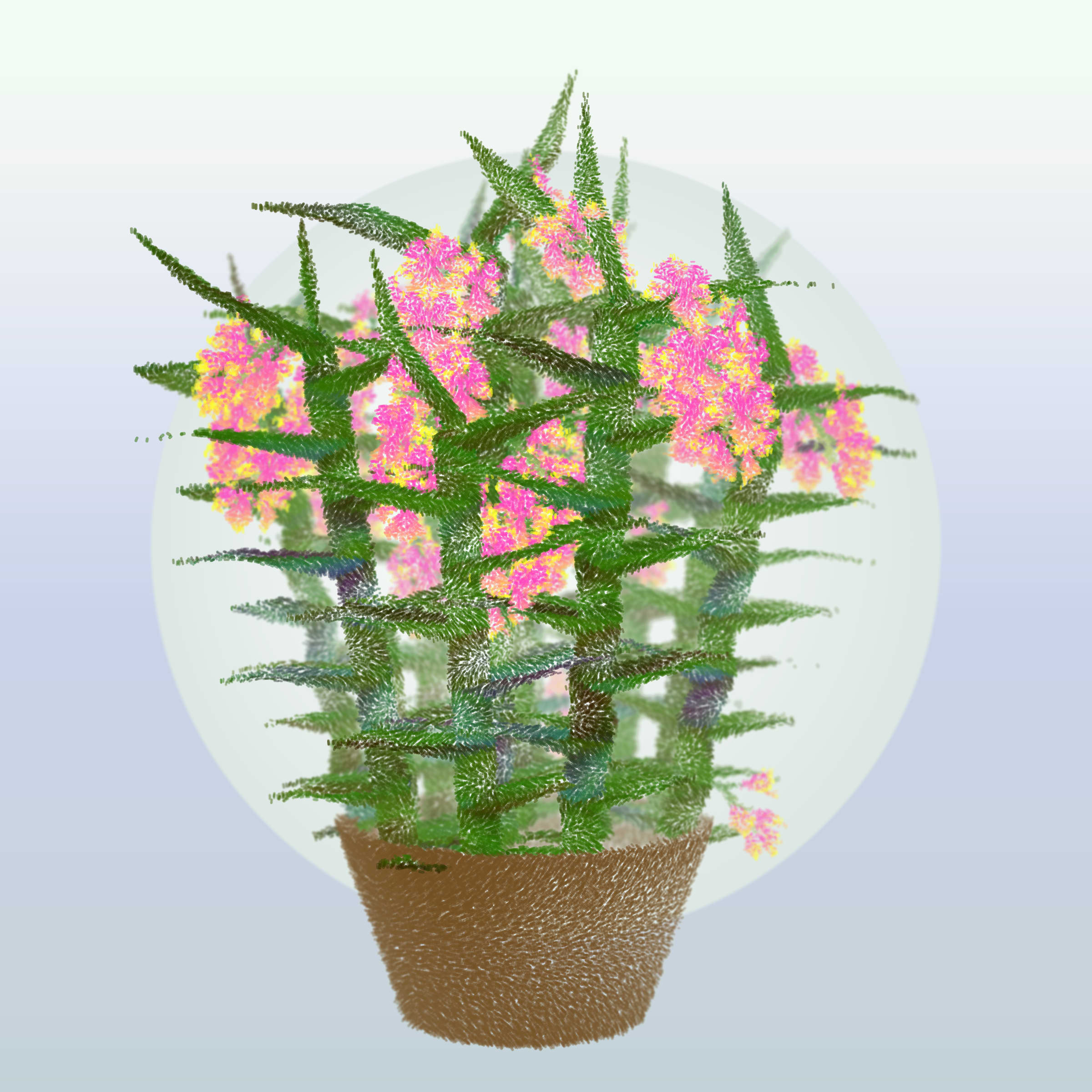 Cattleya preview 6