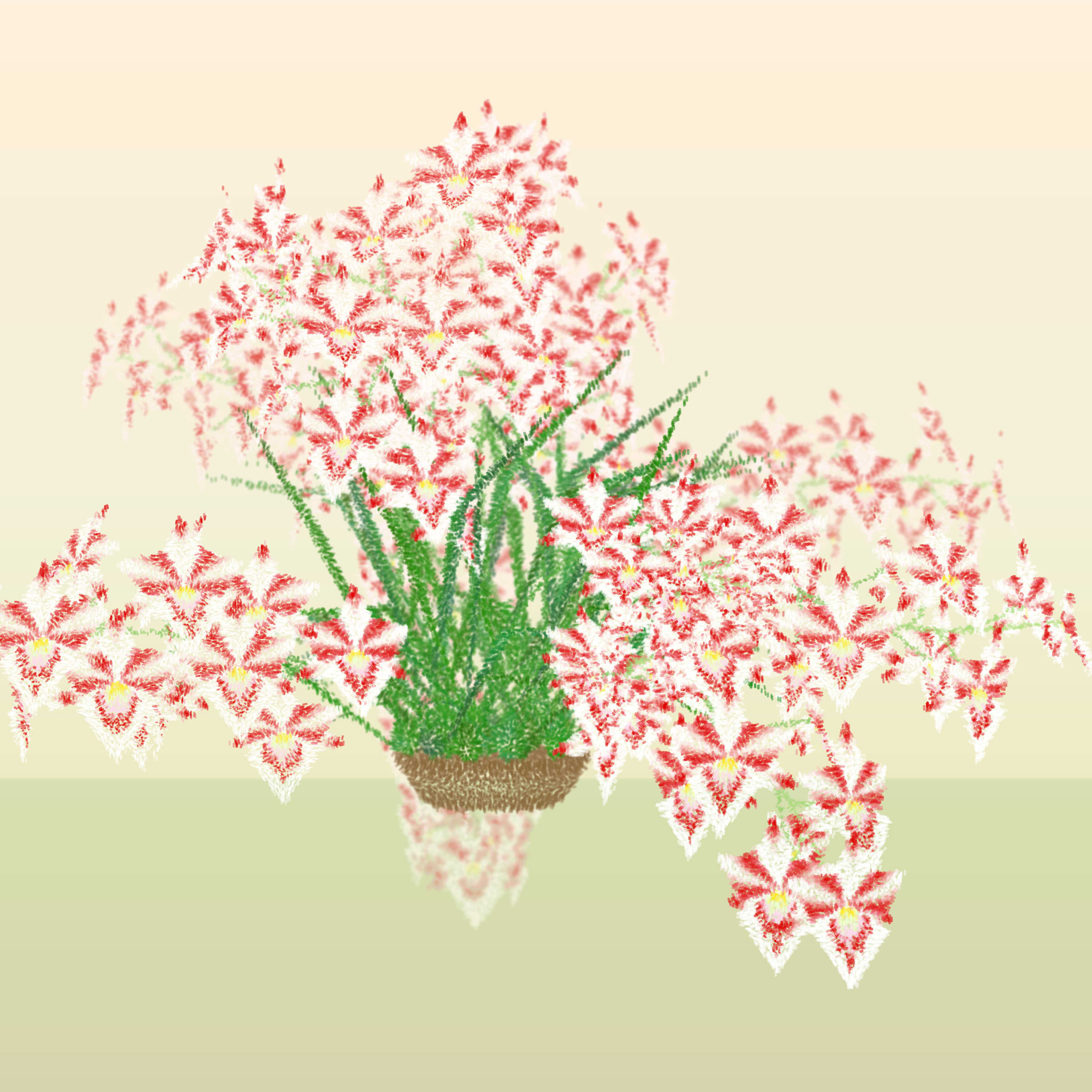 Featured token for: Cattleya