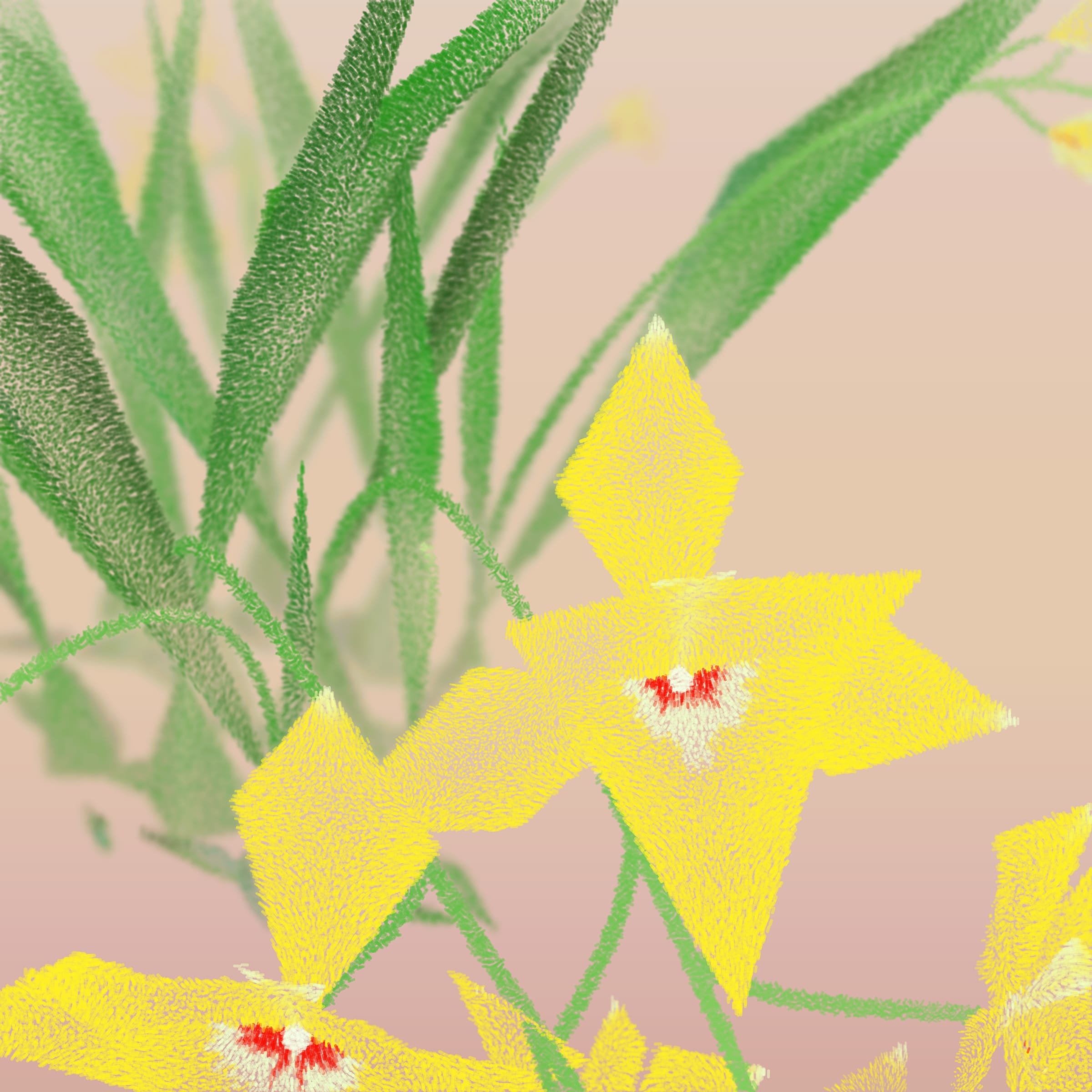 Featured token for: Cattleya