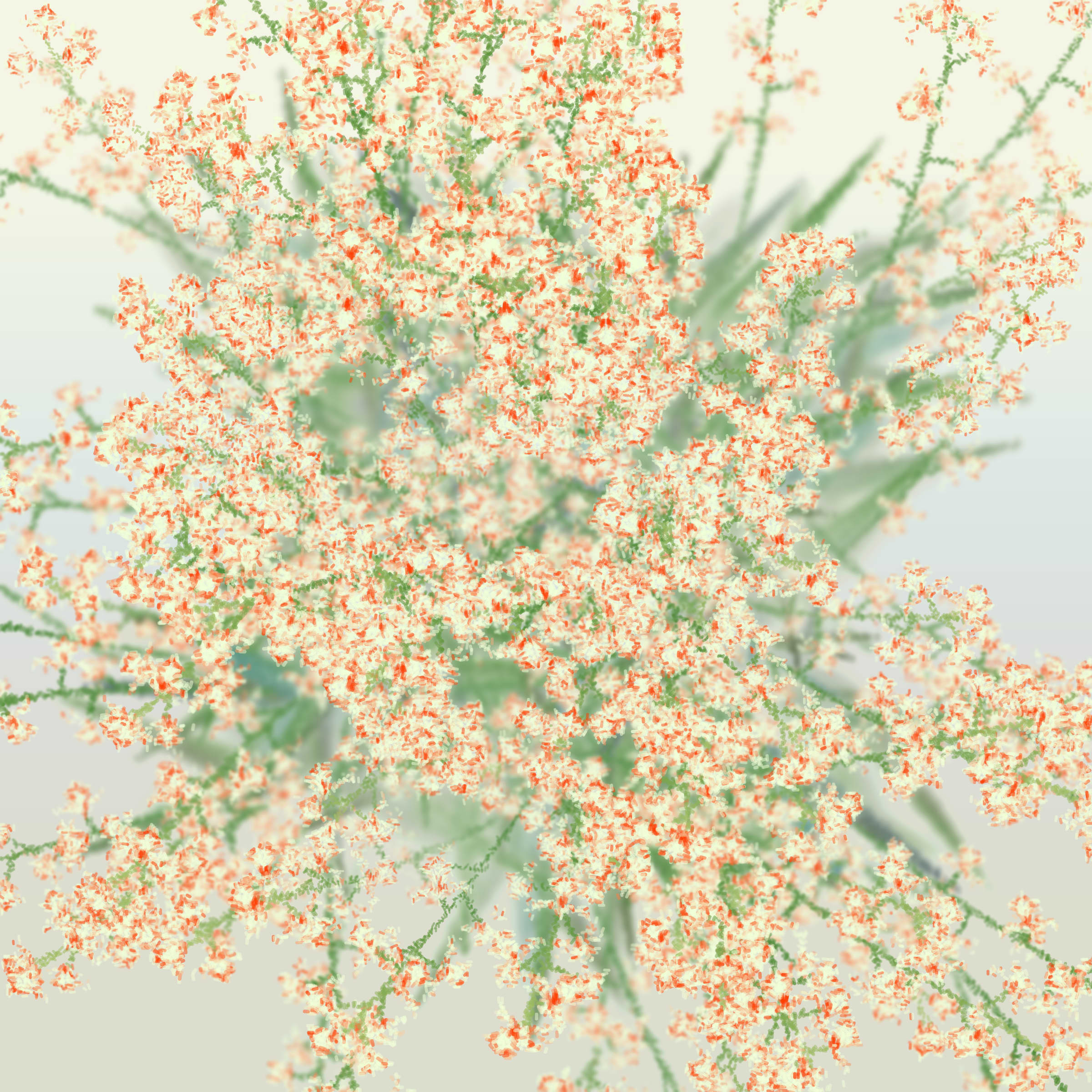 Featured token for: Cattleya
