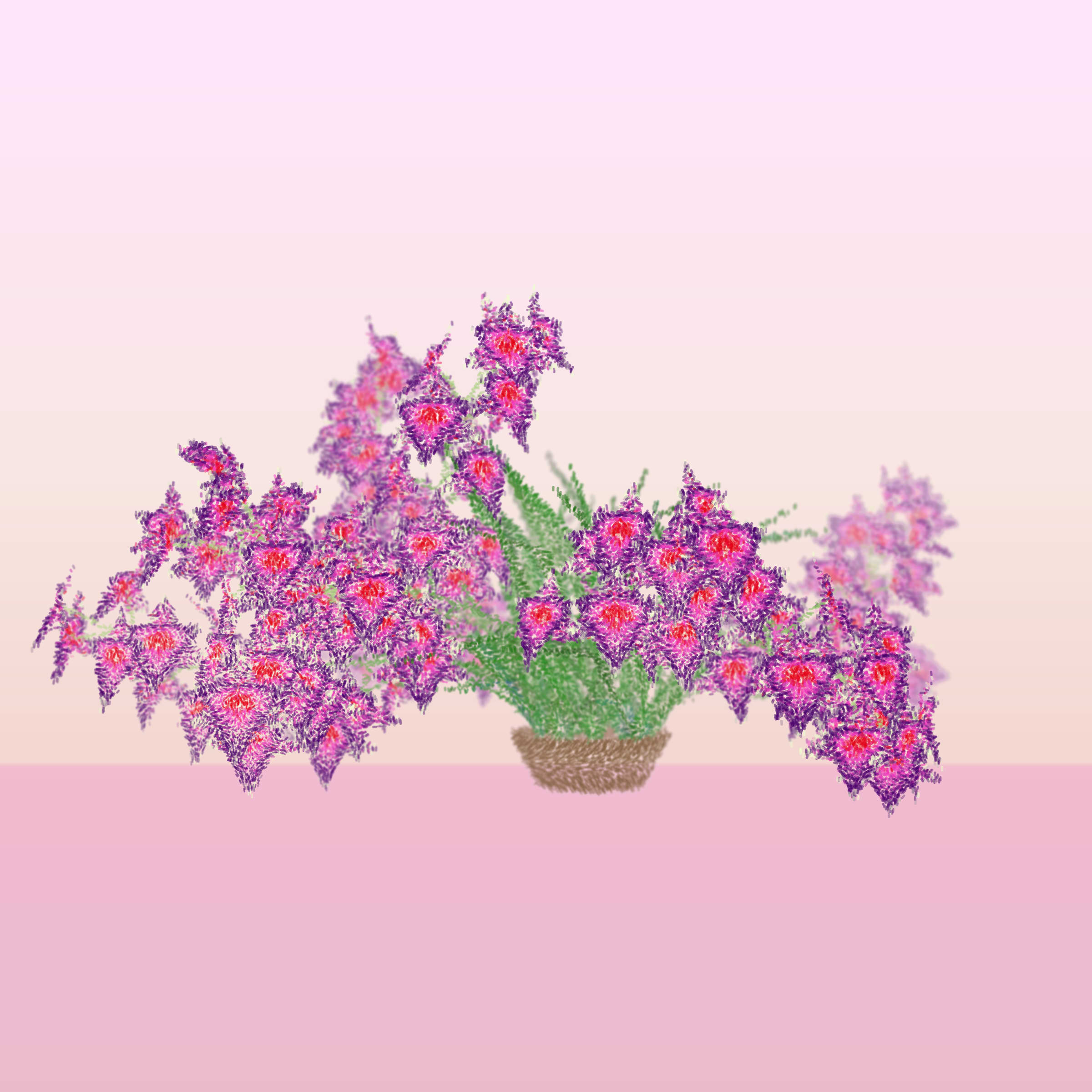 Cattleya
