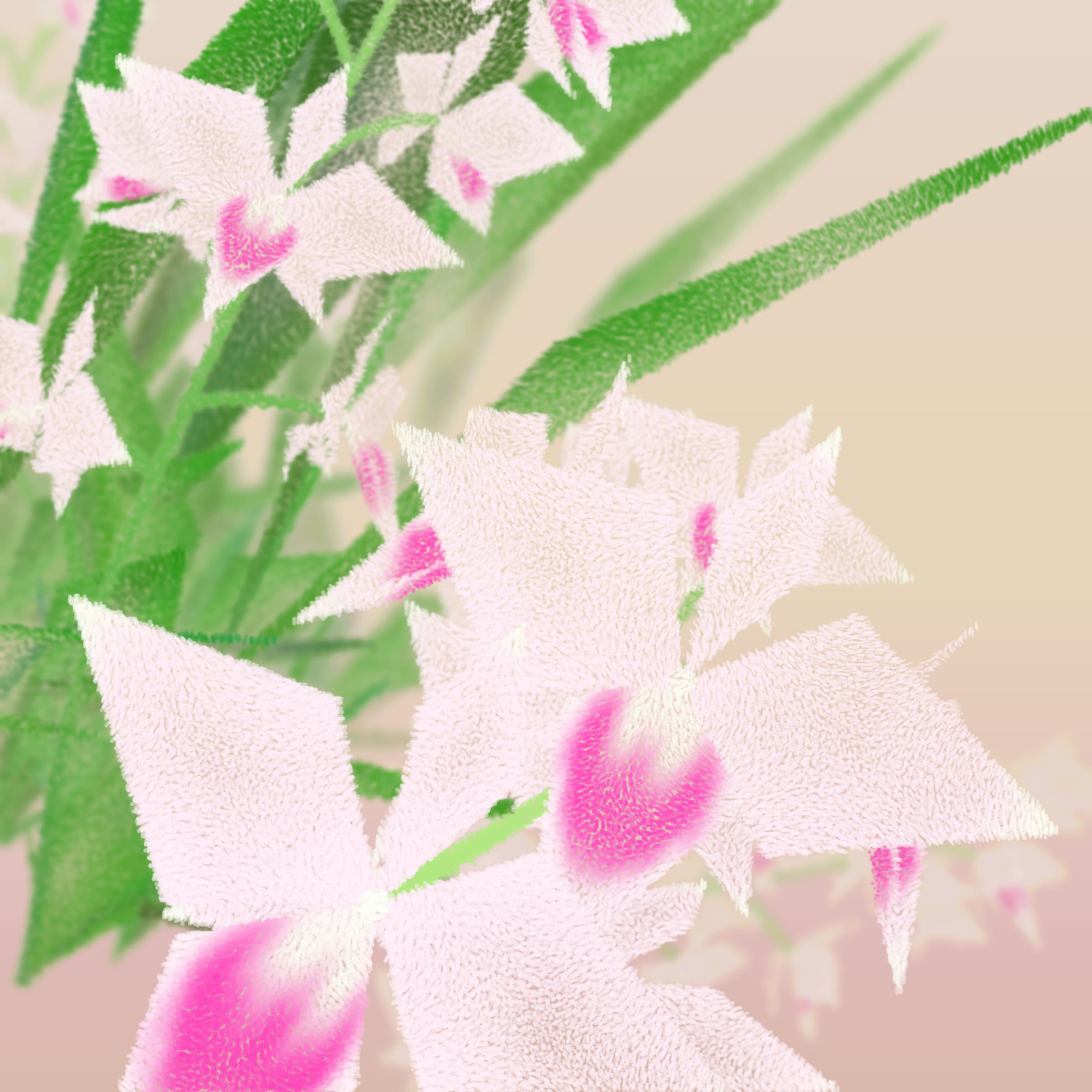 Featured token for: Cattleya