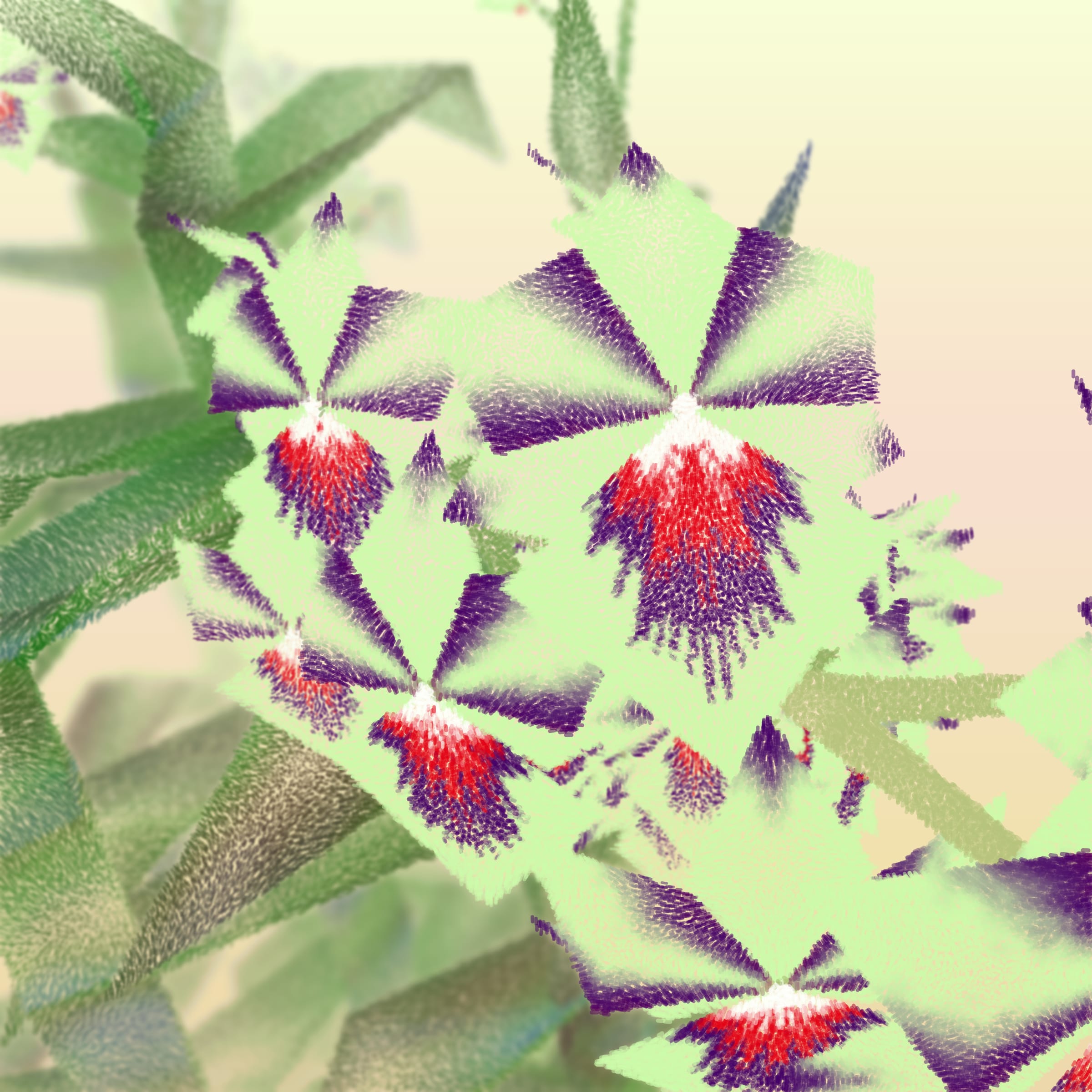 Featured token for: Cattleya