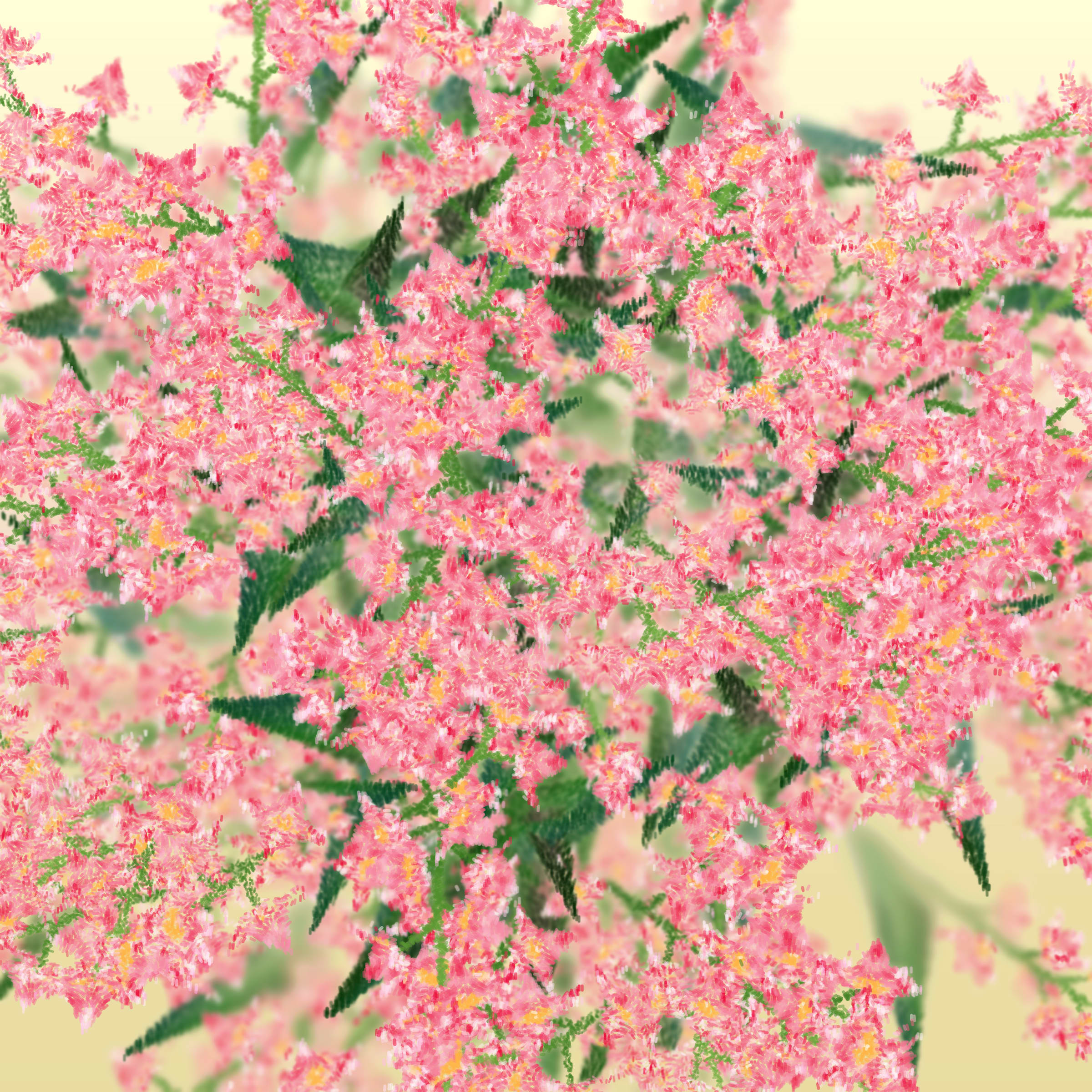 Featured token for: Cattleya